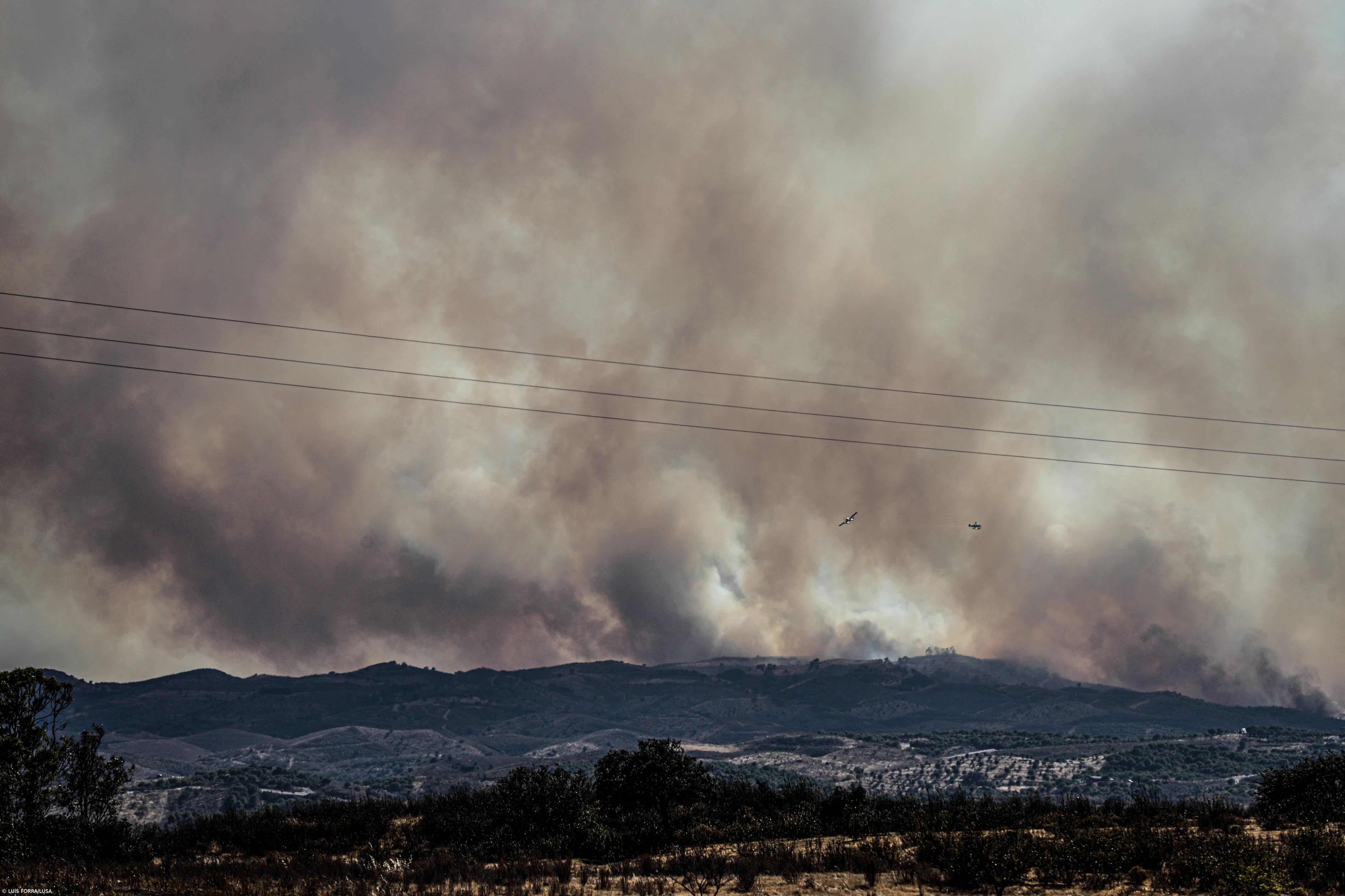 Septuagenário detido pela autoria de quatro incêndios na Póvoa de Lanhoso – Imagem 1