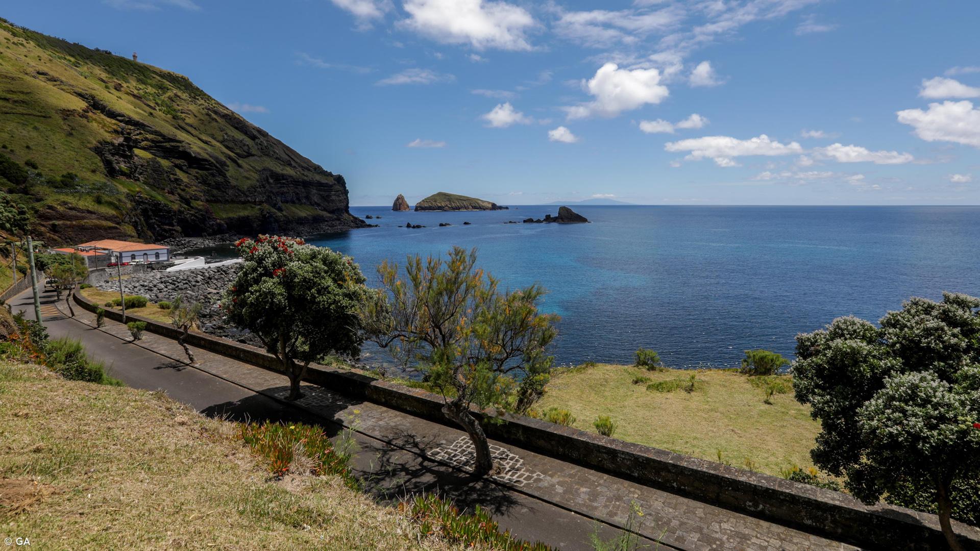 Estudo defende proteção do habitat da ave marinha endémica dos Açores – Imagem 1