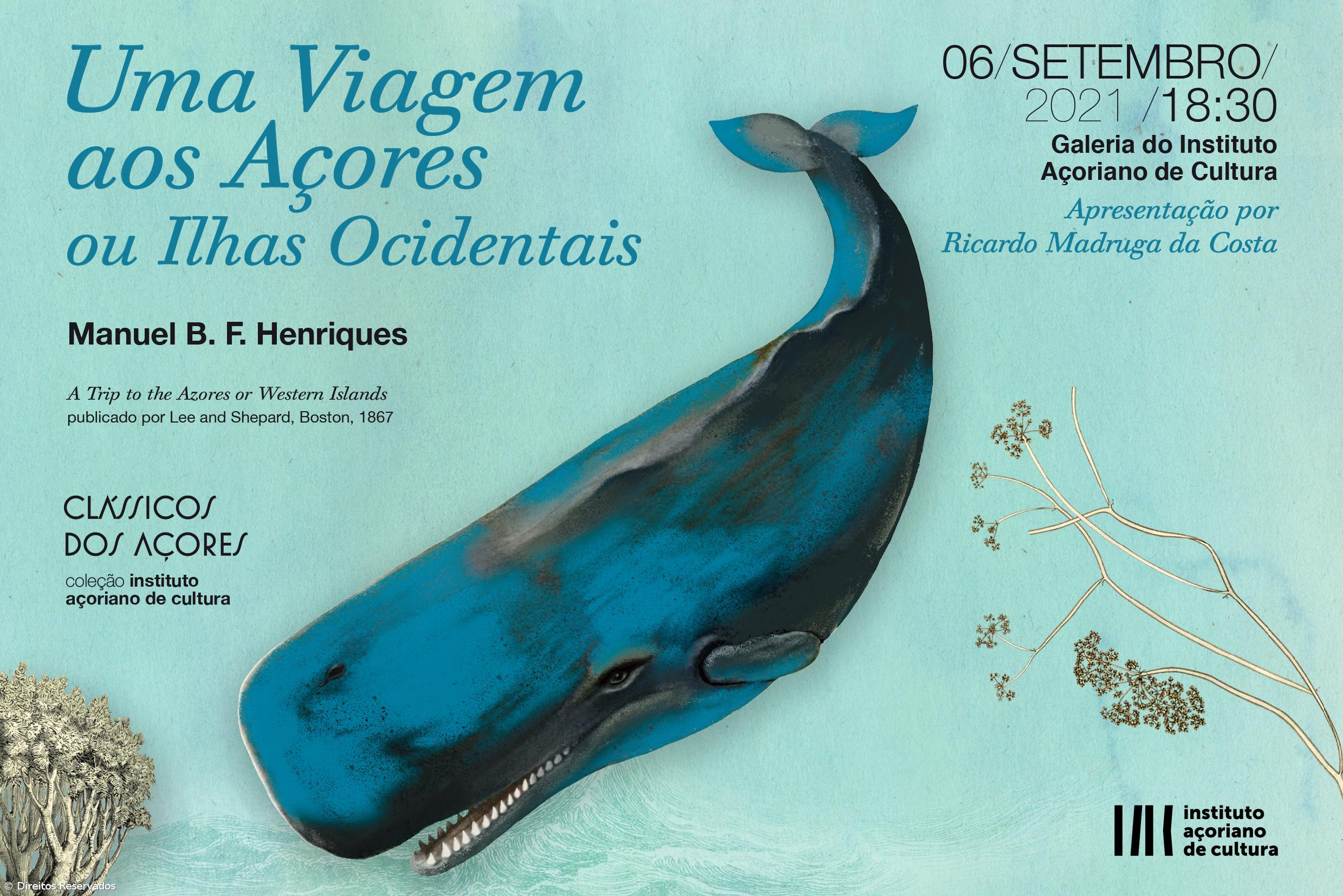 IAC apresenta "Uma Viagem aos Açores ou Ilhas Ocidentais" de Manuel Henriques no Outono Vivo – Imagem 1