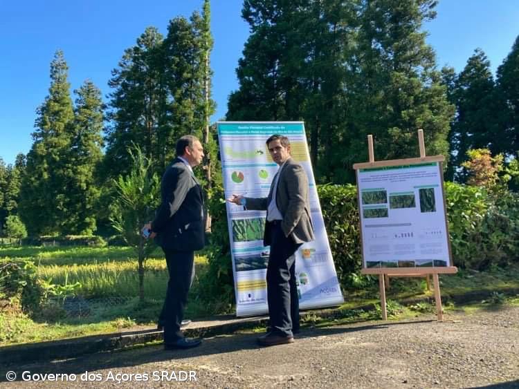 Lançado concurso público para a conservação do perímetro florestal de São Miguel – Imagem 1