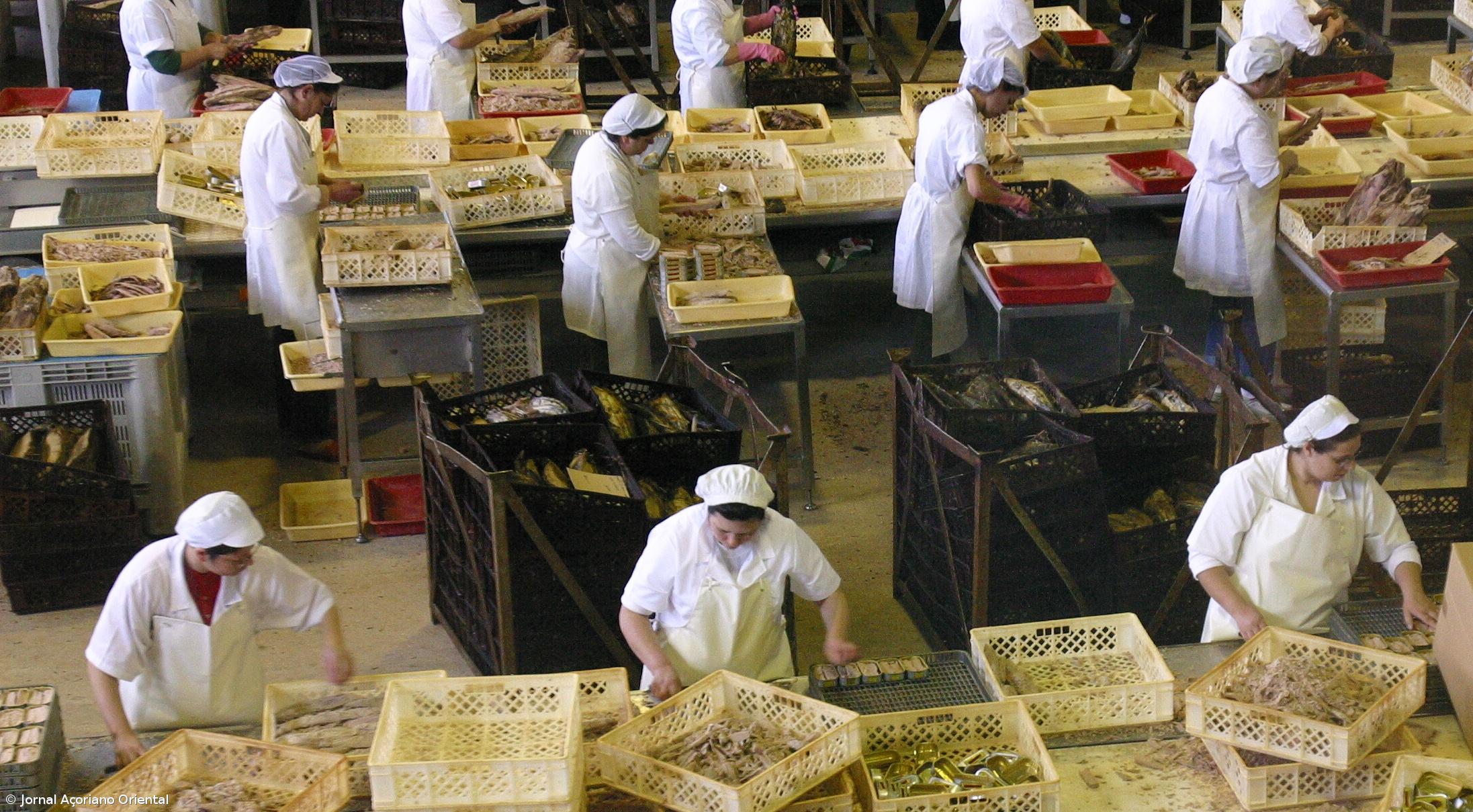 Conserveira Cofaco despede 180 trabalhadores na Madalena do Pico – Imagem 1