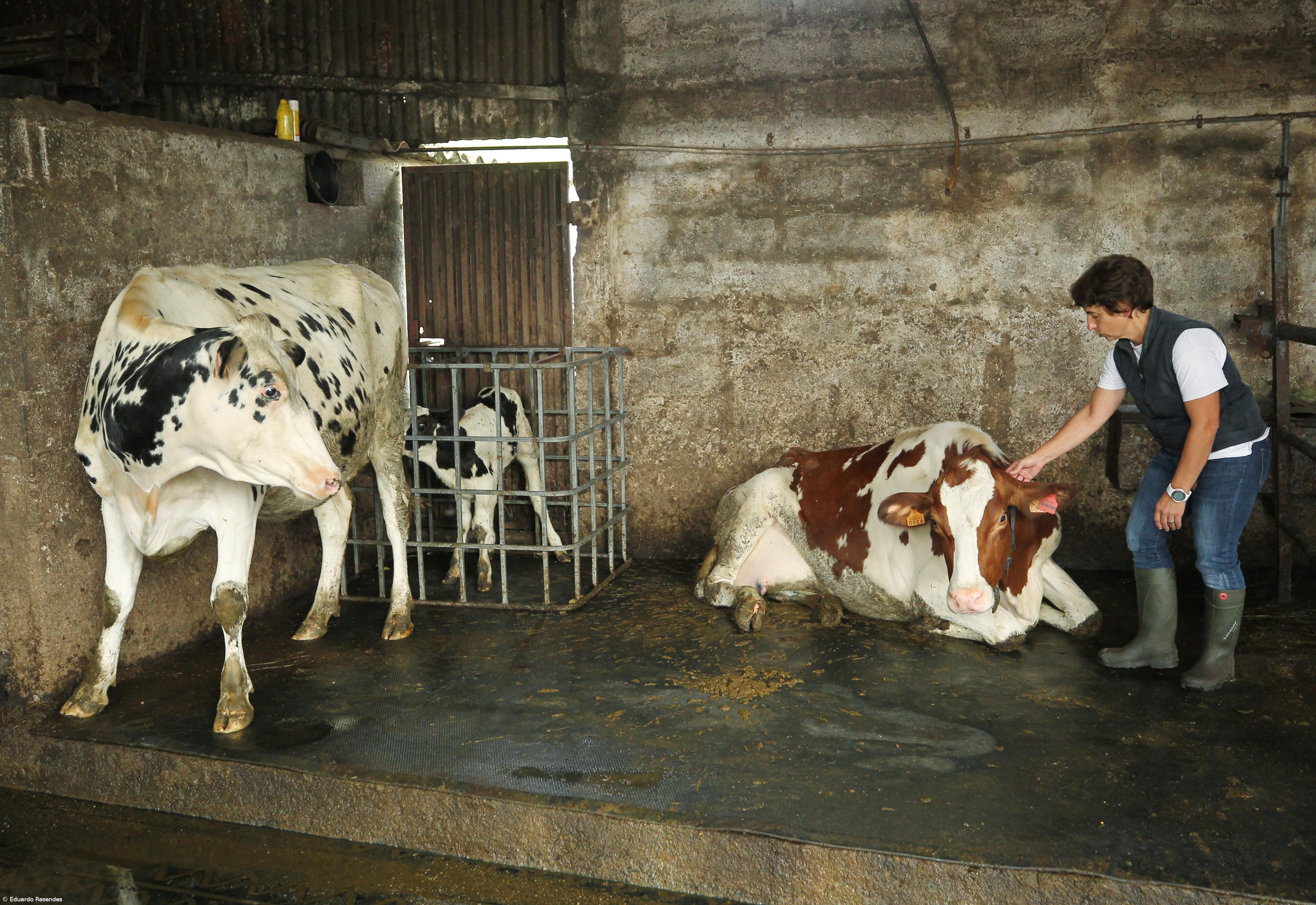Mulheres conquistam lugar no mundo da agricultura – Imagem 7