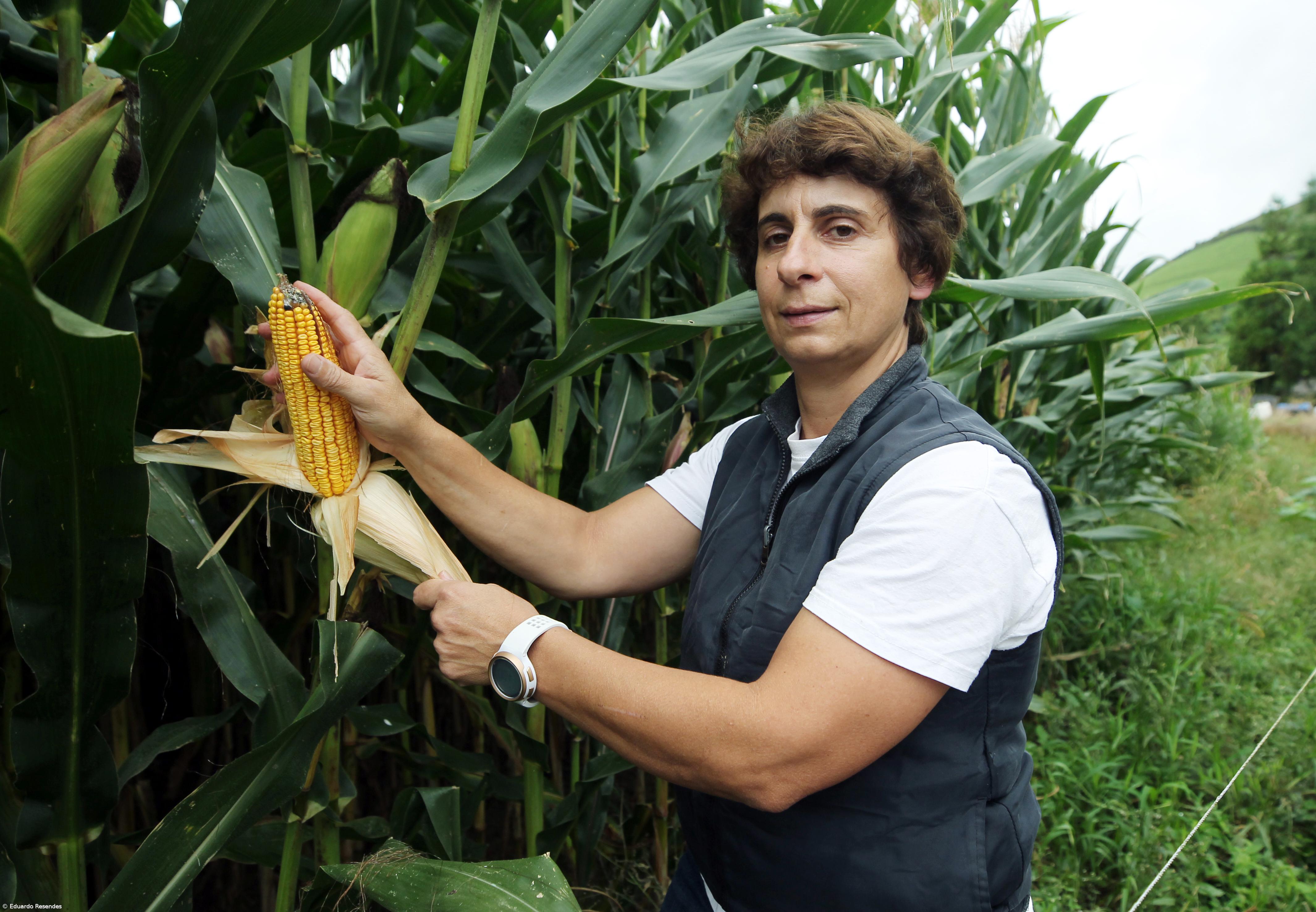 Mulheres conquistam lugar no mundo da agricultura – Imagem 8