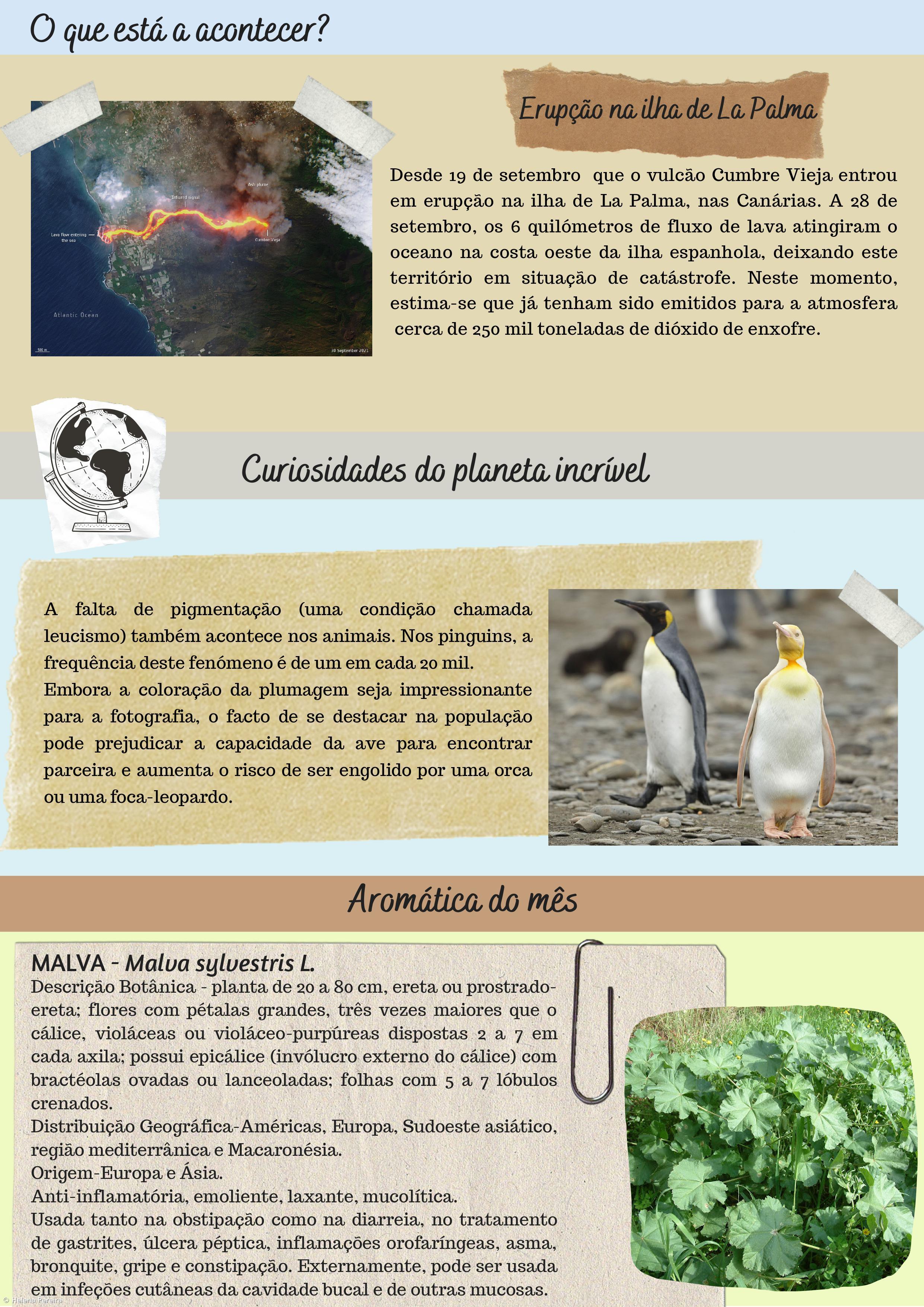 Ciência com Letras – Imagem 1