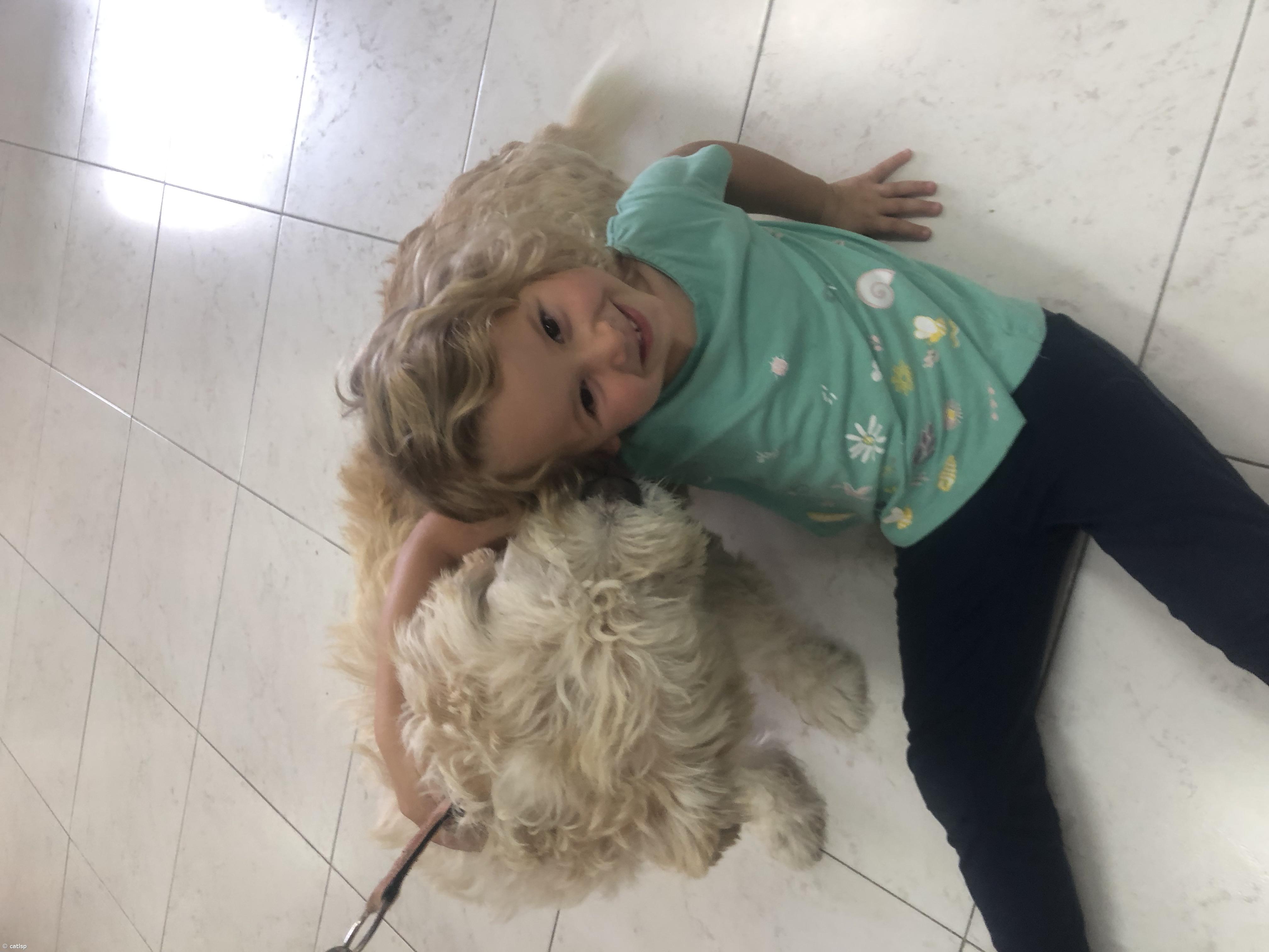 Atividades do Dia Mundial do Animal – Imagem 7