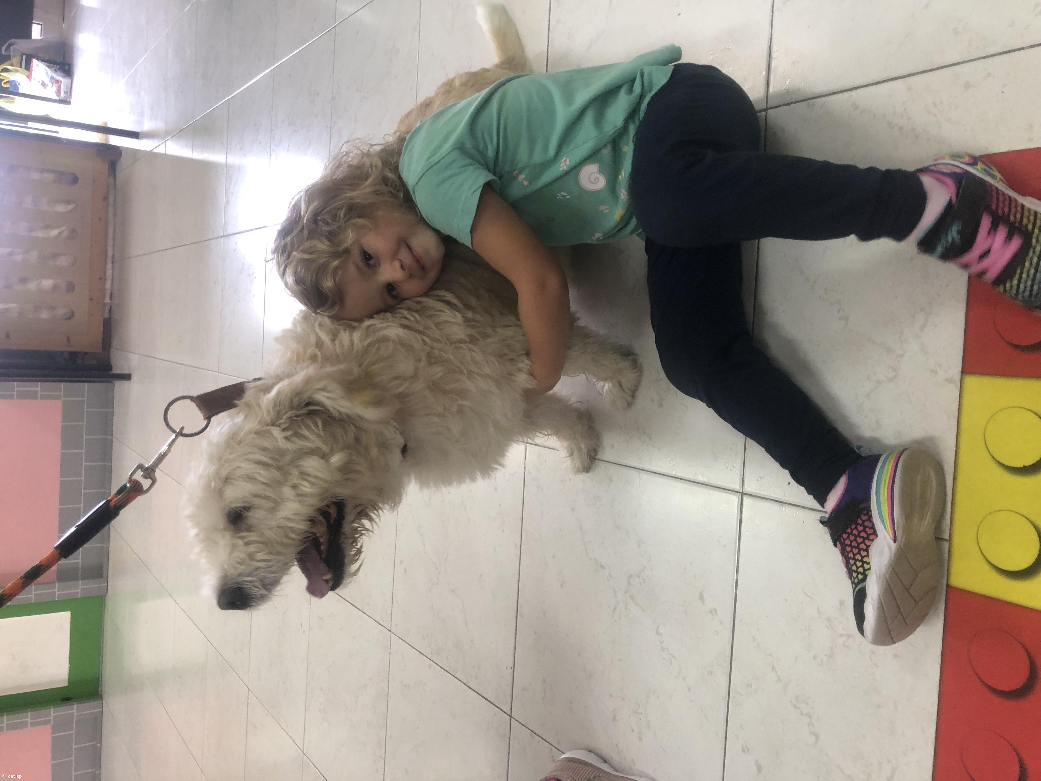 Atividades do Dia Mundial do Animal – Imagem 6