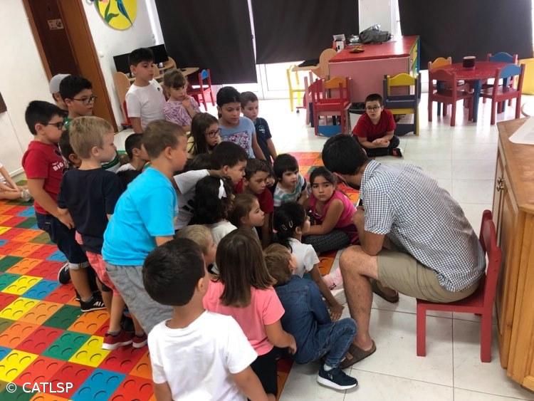 Recolha de Alimentos para Gato – Imagem 1