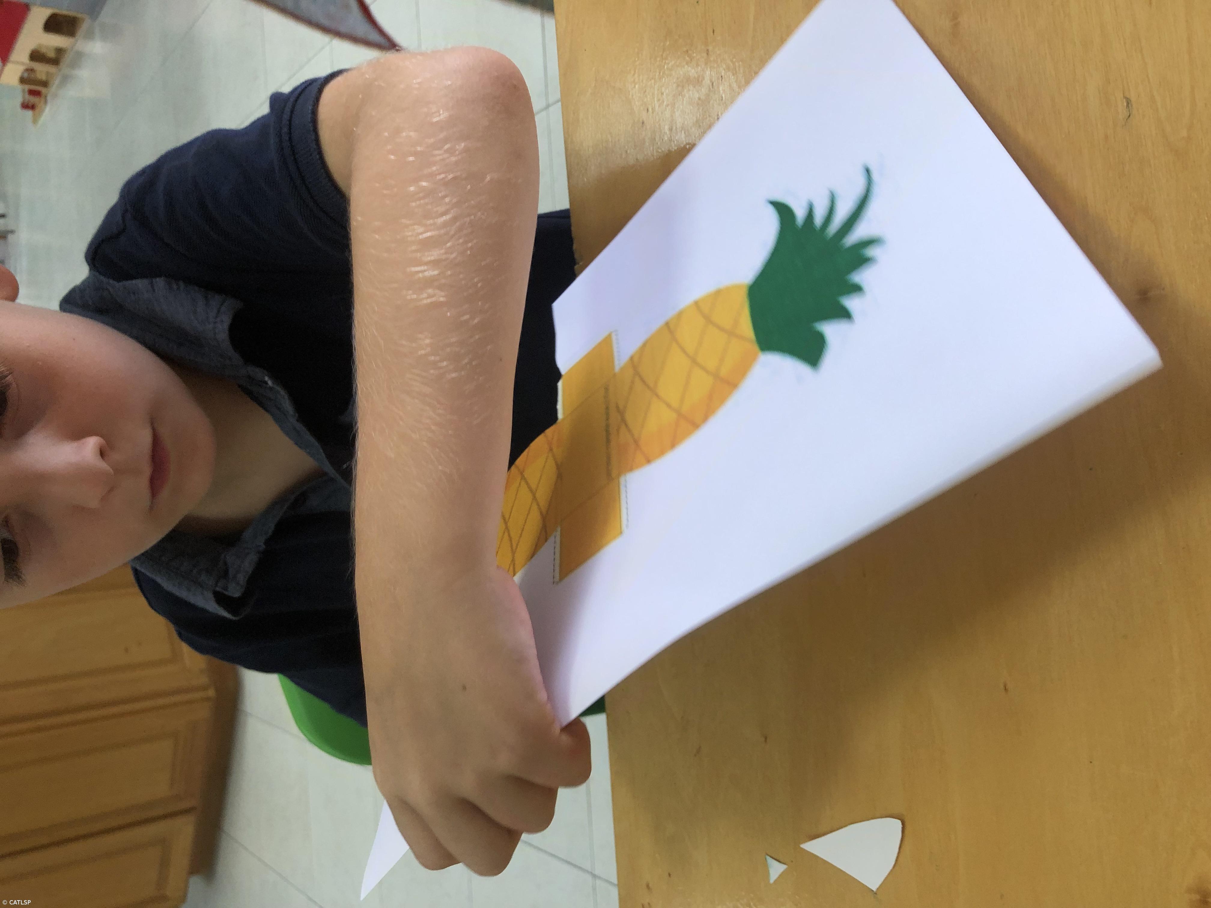 Dia Mundial da Alimentação – Imagem 2