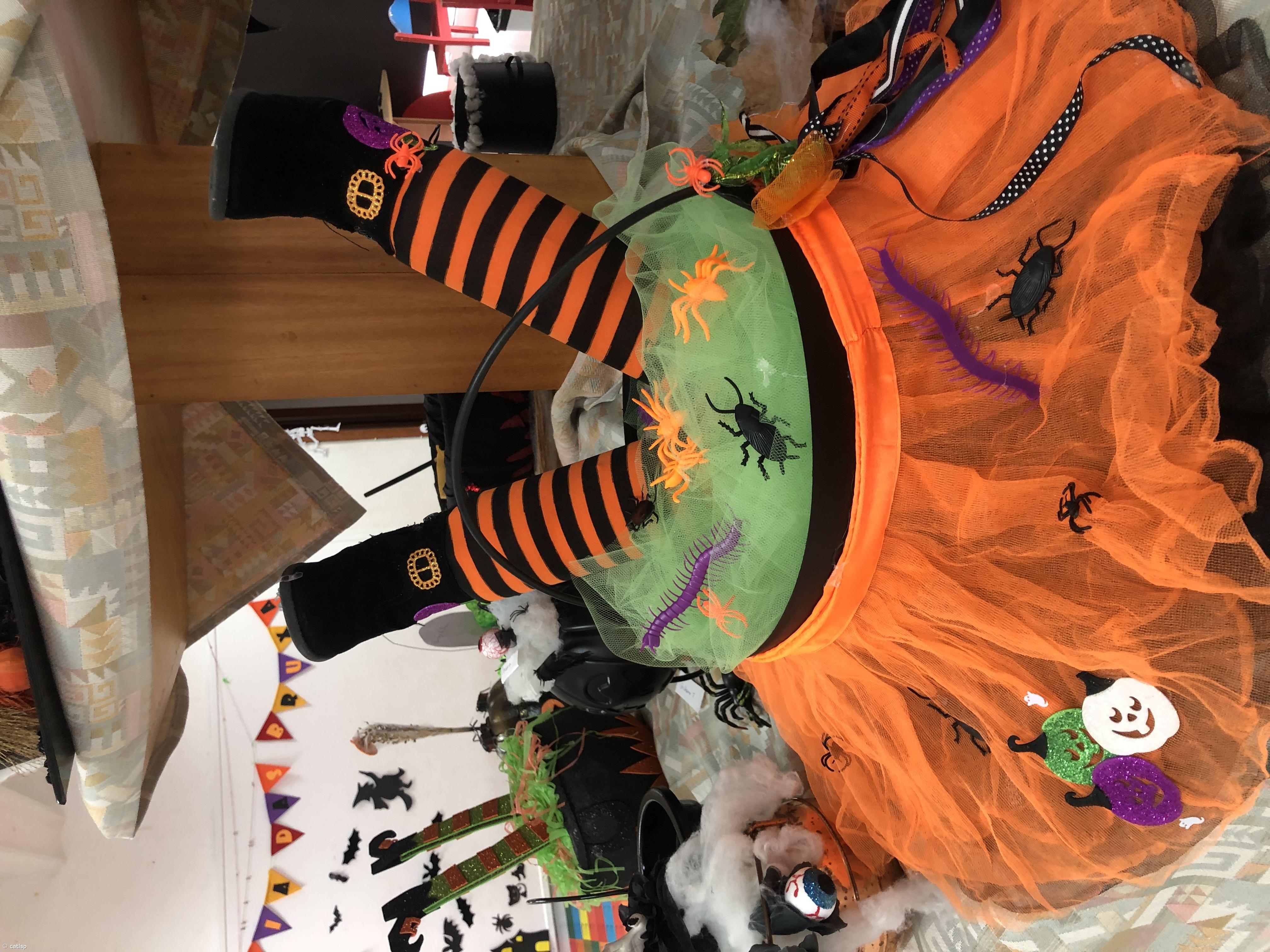 Halloween – Imagem 20