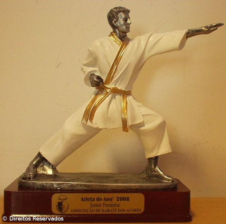 Associação de Karaté dos Açores organiza a XI Gala de Natal  – Imagem 1