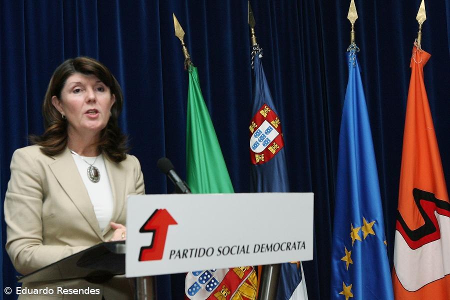 "Falta de coordenação" gera instabilidade no sector agrícola – Imagem 1