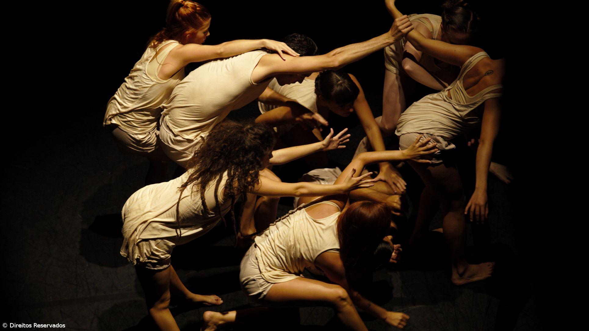 Festival de Dança entre 20 e 27 deste mês em Ponta Delgada – Imagem 1