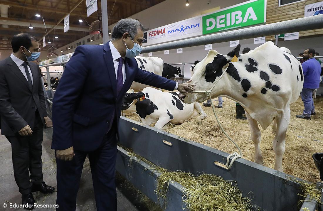 Redução da produção de leite vai ser compensada – Imagem 1