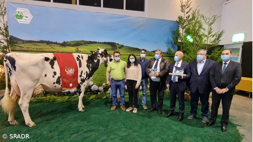 Vaca Dálmata venceu o concurso de Outono – Imagem 1