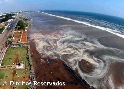 Ondas varreram o Índico e 230.000 vidas – Imagem 1