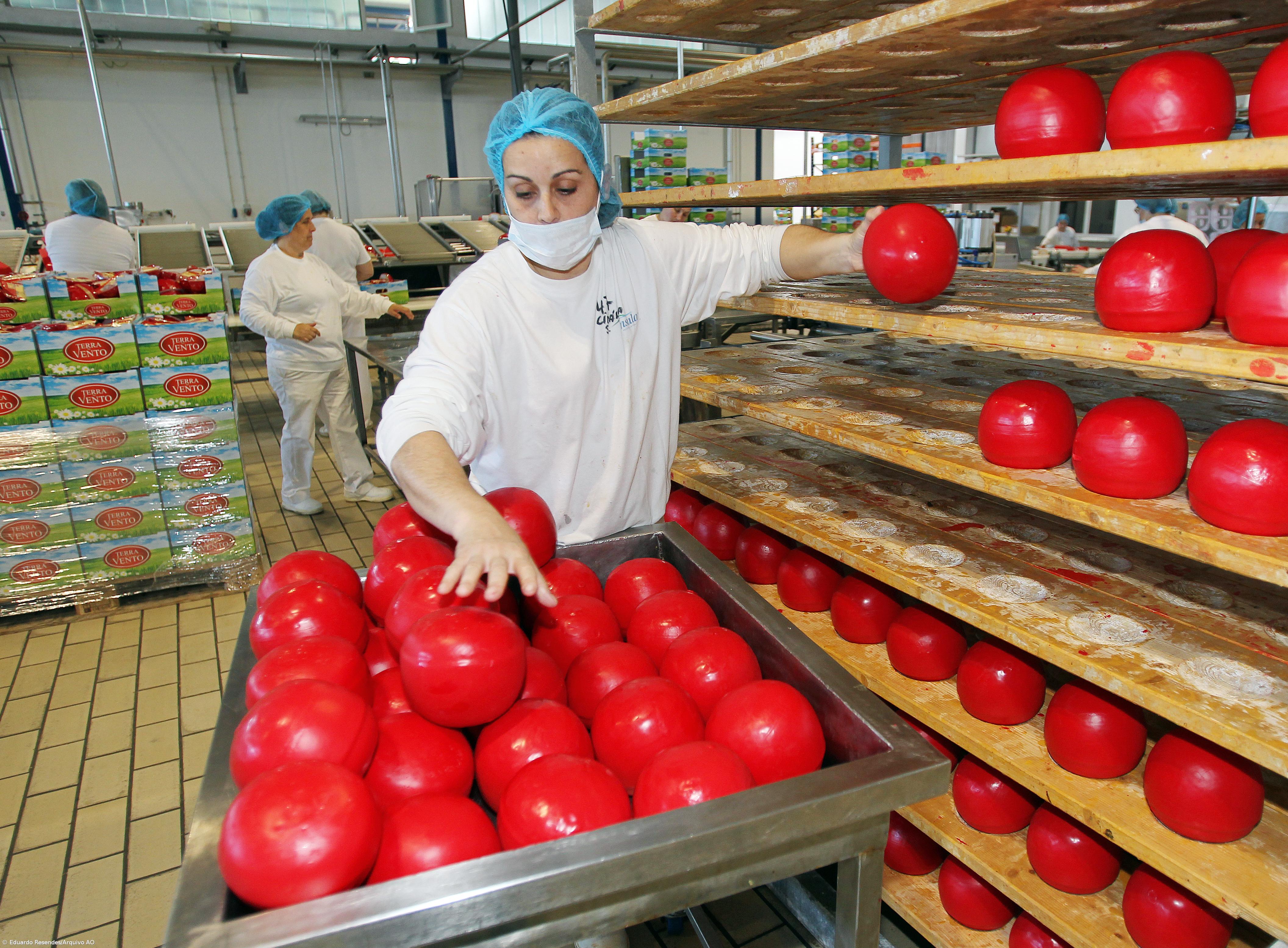 Indústrias de Laticínios pedem ao governo para mediar preço – Imagem 1