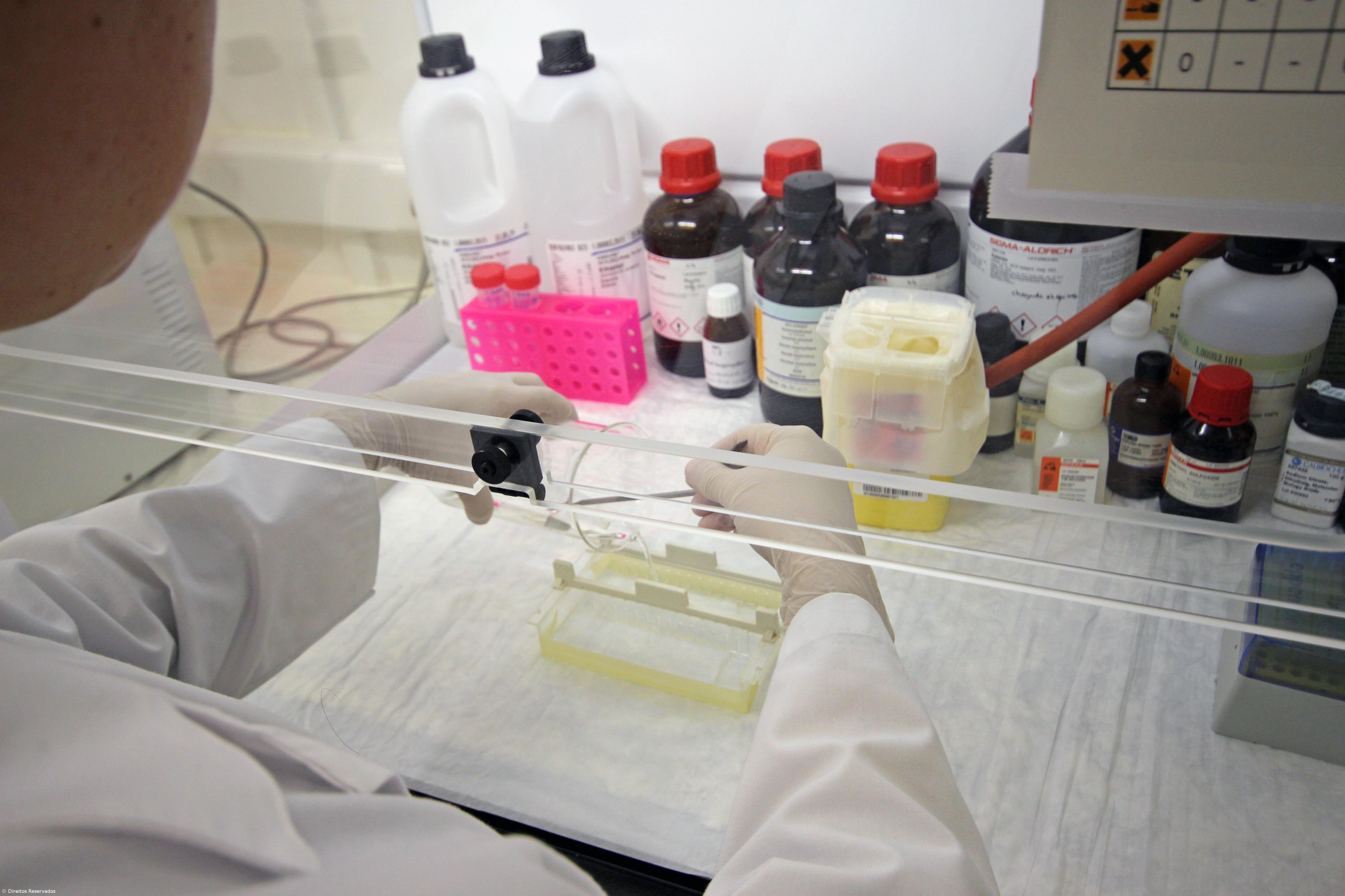 Investigadora portuguesa em projeto de 10ME que vai estudar doenças autoimunes – Imagem 1