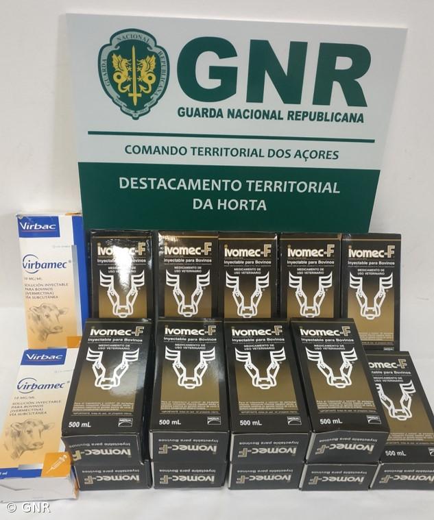 Apreensão de medicamentos veterinários nas ilhas do Faial, Pico e São Jorge  – Imagem 2