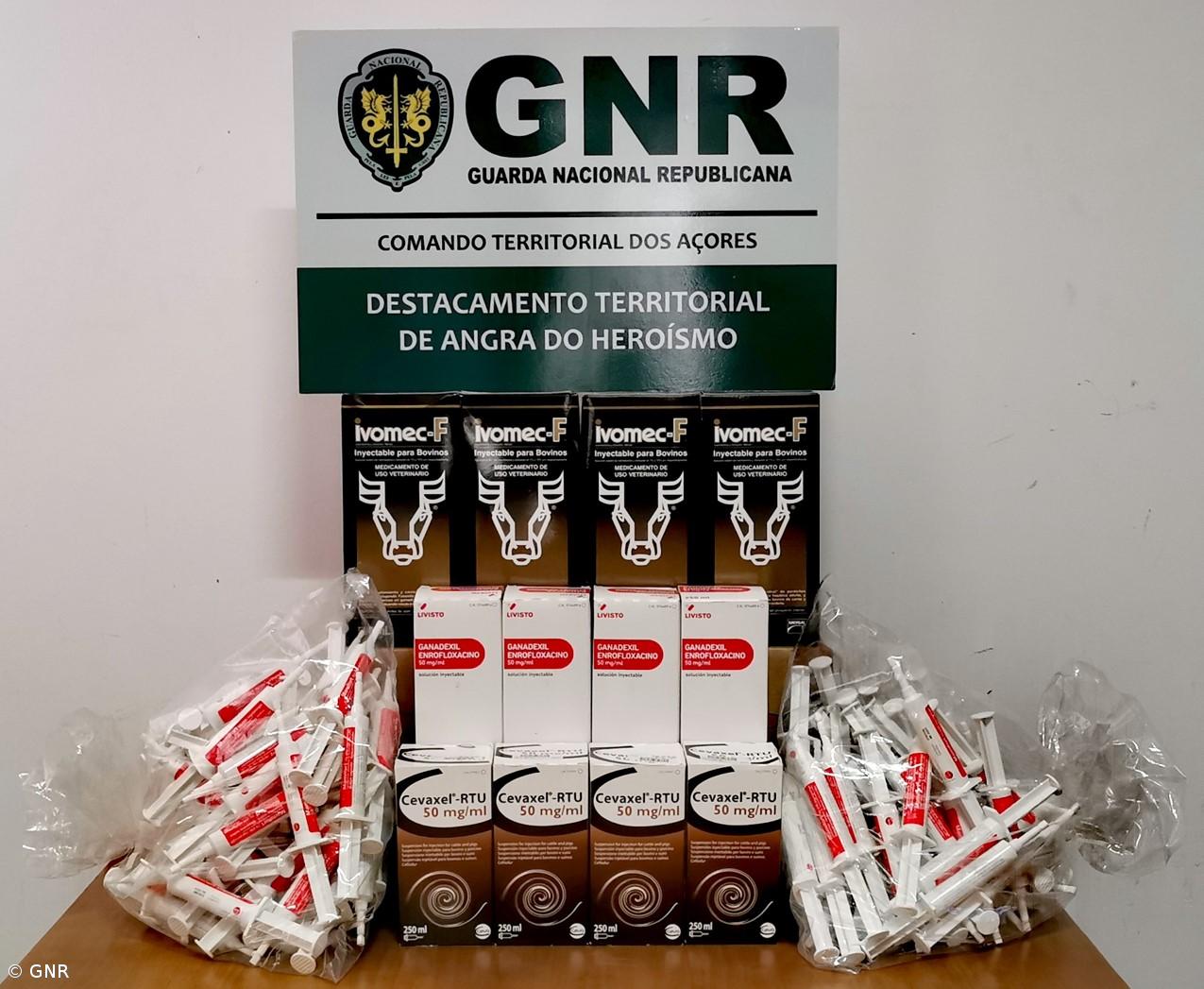 Apreensão de medicamentos veterinários nas ilhas do Faial, Pico e São Jorge  – Imagem 3