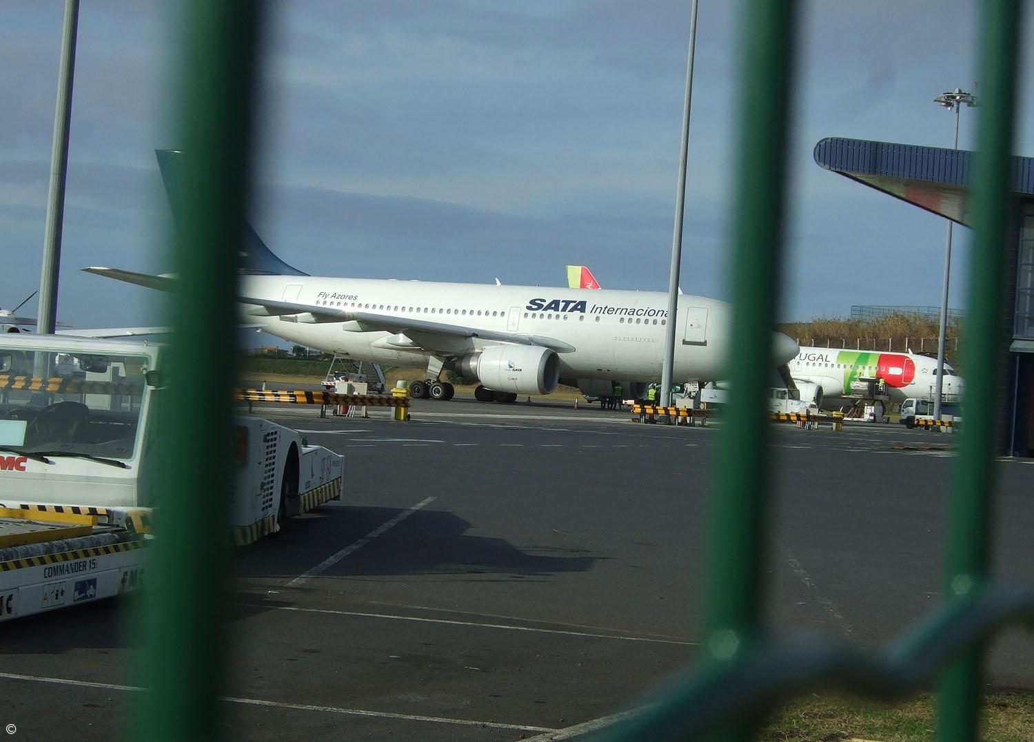 Sata cancelou 17 ligações por causa das cinzas – Imagem 1
