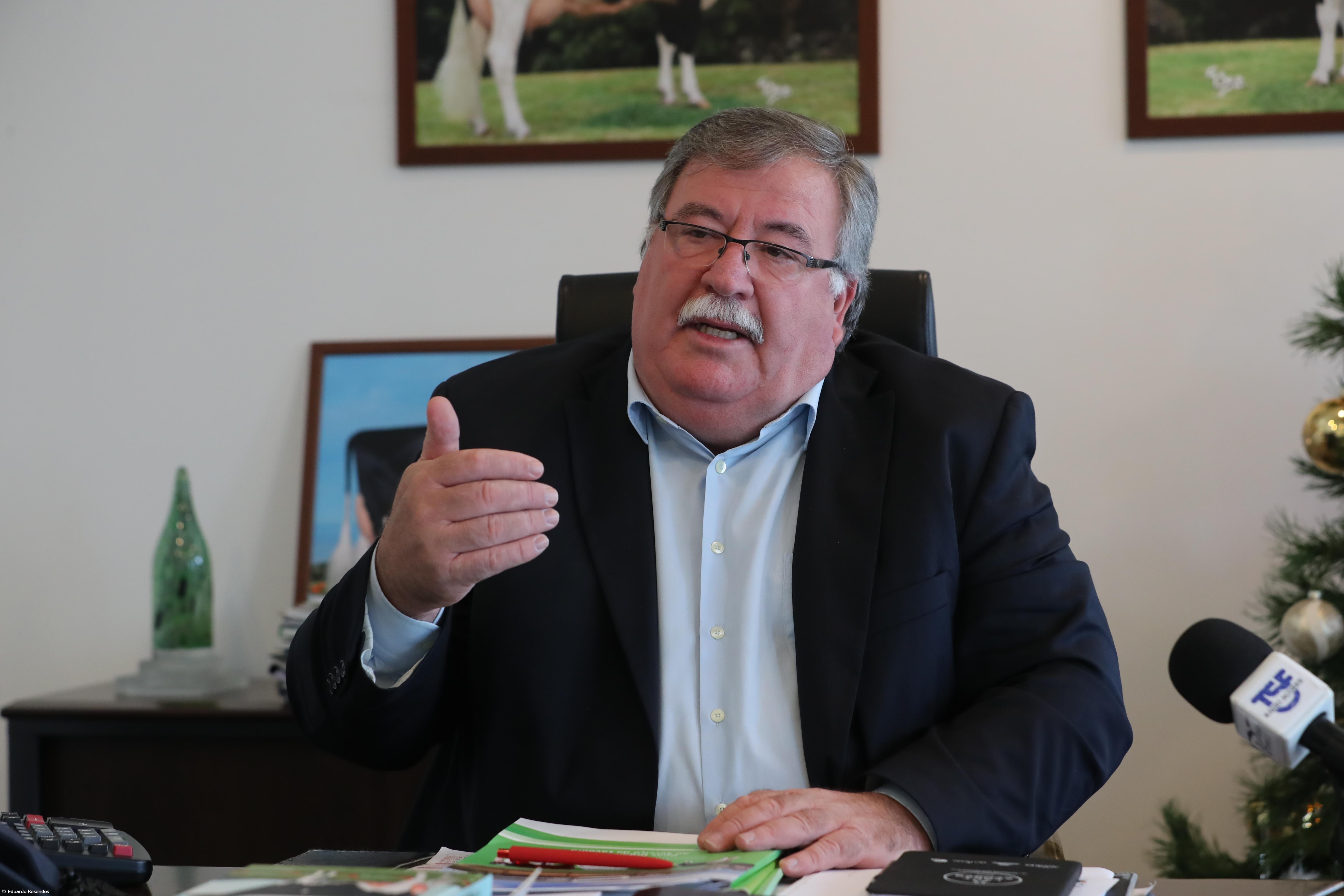 Federação Agrícola dos Açores quer aumento do preço do leite à produção – Imagem 1