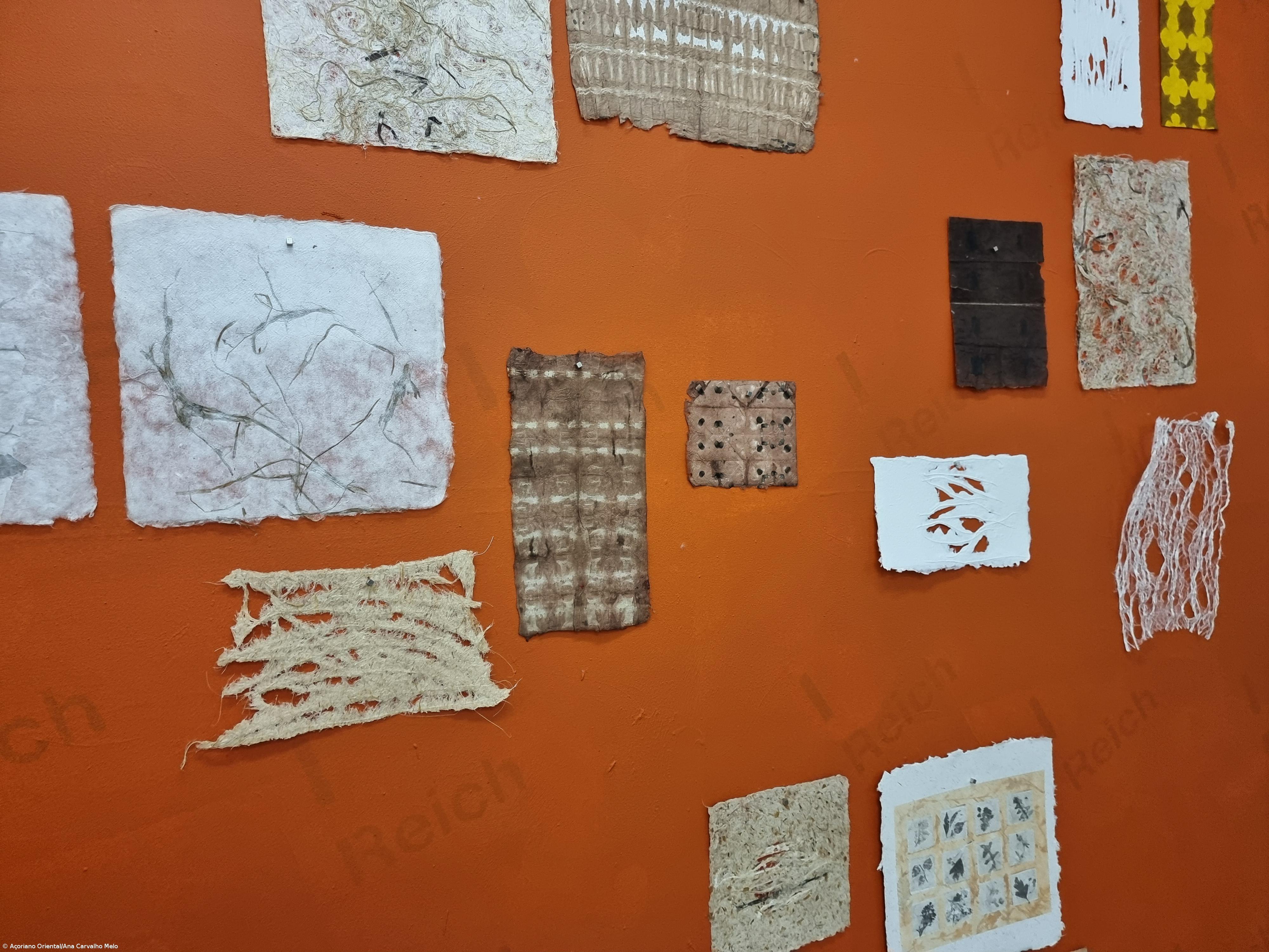 Materiais naturais são base das criações em papel de Anne Bruyere – Imagem 3