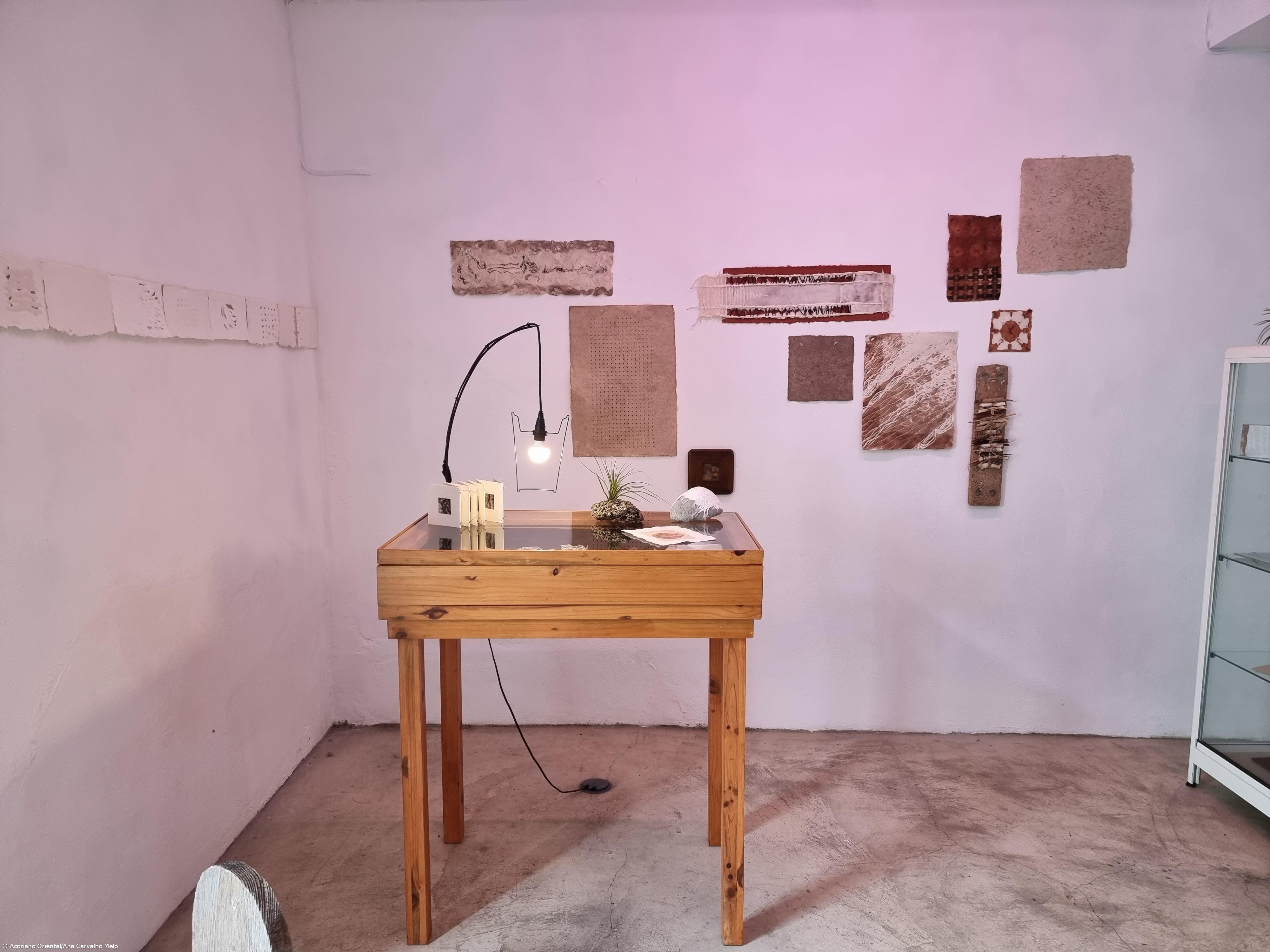 Materiais naturais são base das criações em papel de Anne Bruyere – Imagem 4