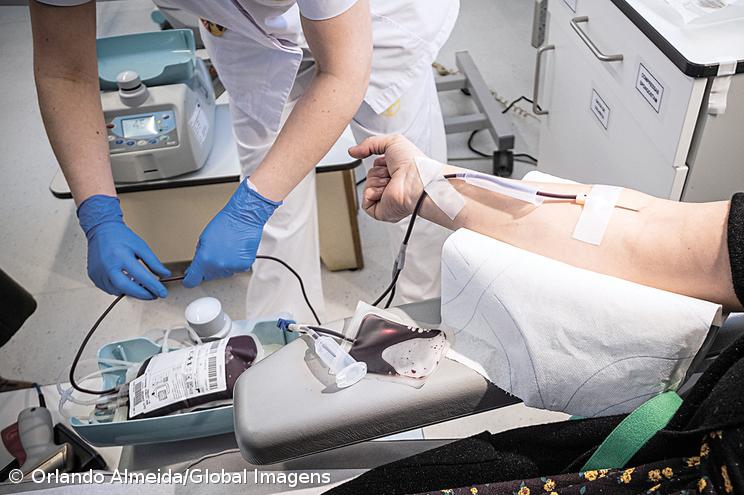 Revista da federação de dadores de sangue quer incentivar mais dádivas por jovens – Imagem 1