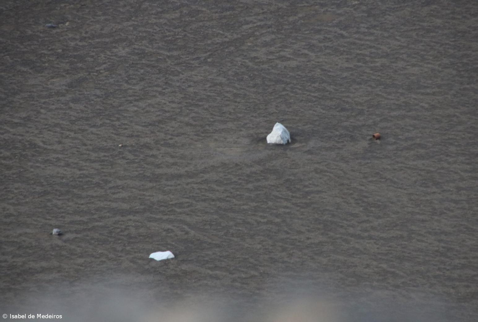 Associação Anda&Fala atribuiu 13 bolsas a projetos artísticos nos Açores – Imagem 1
