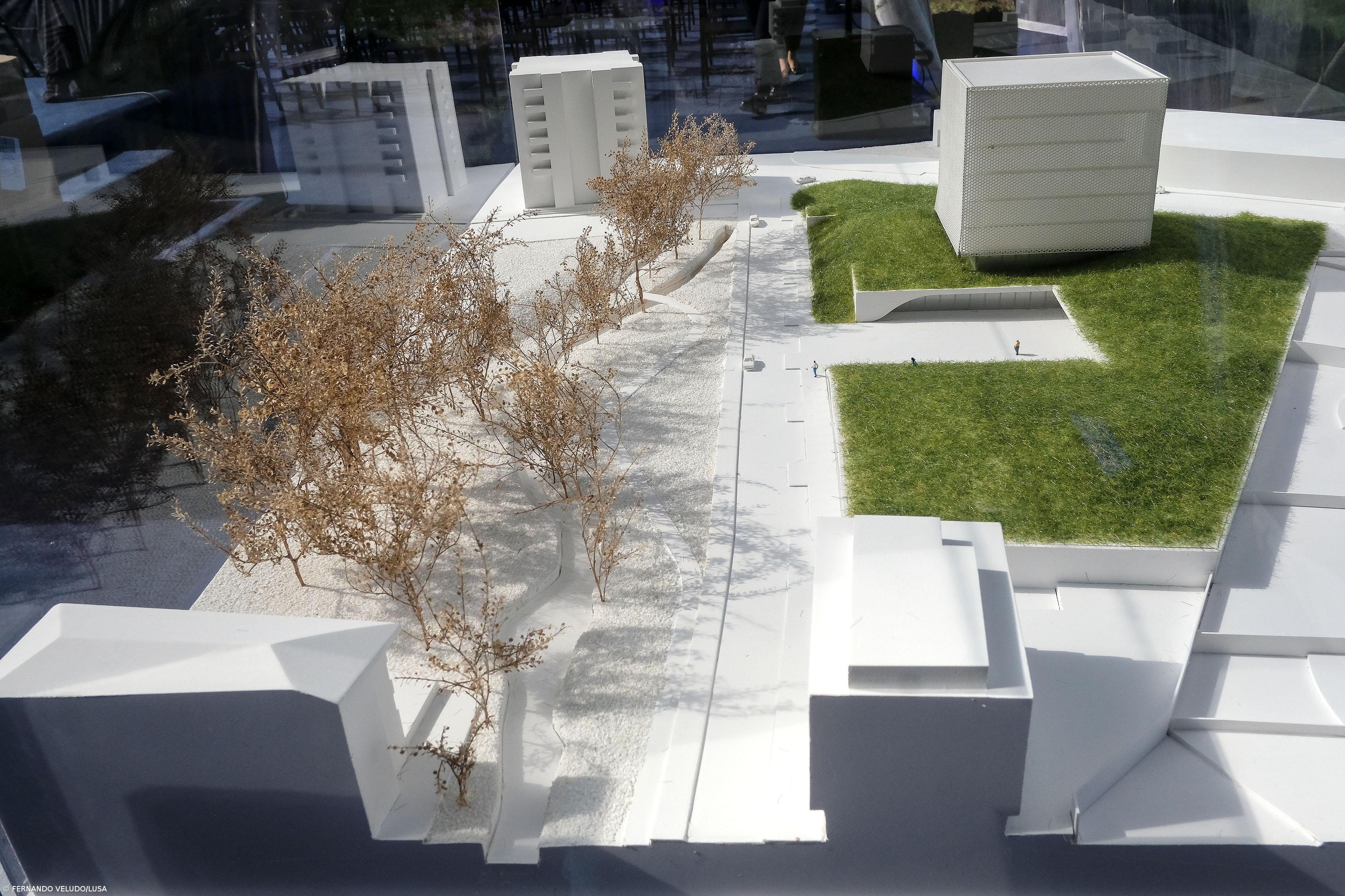 "Aqui nasce o futuro", diz Pedro Proença no lançamento do Arena Liga Portugal – Imagem 1