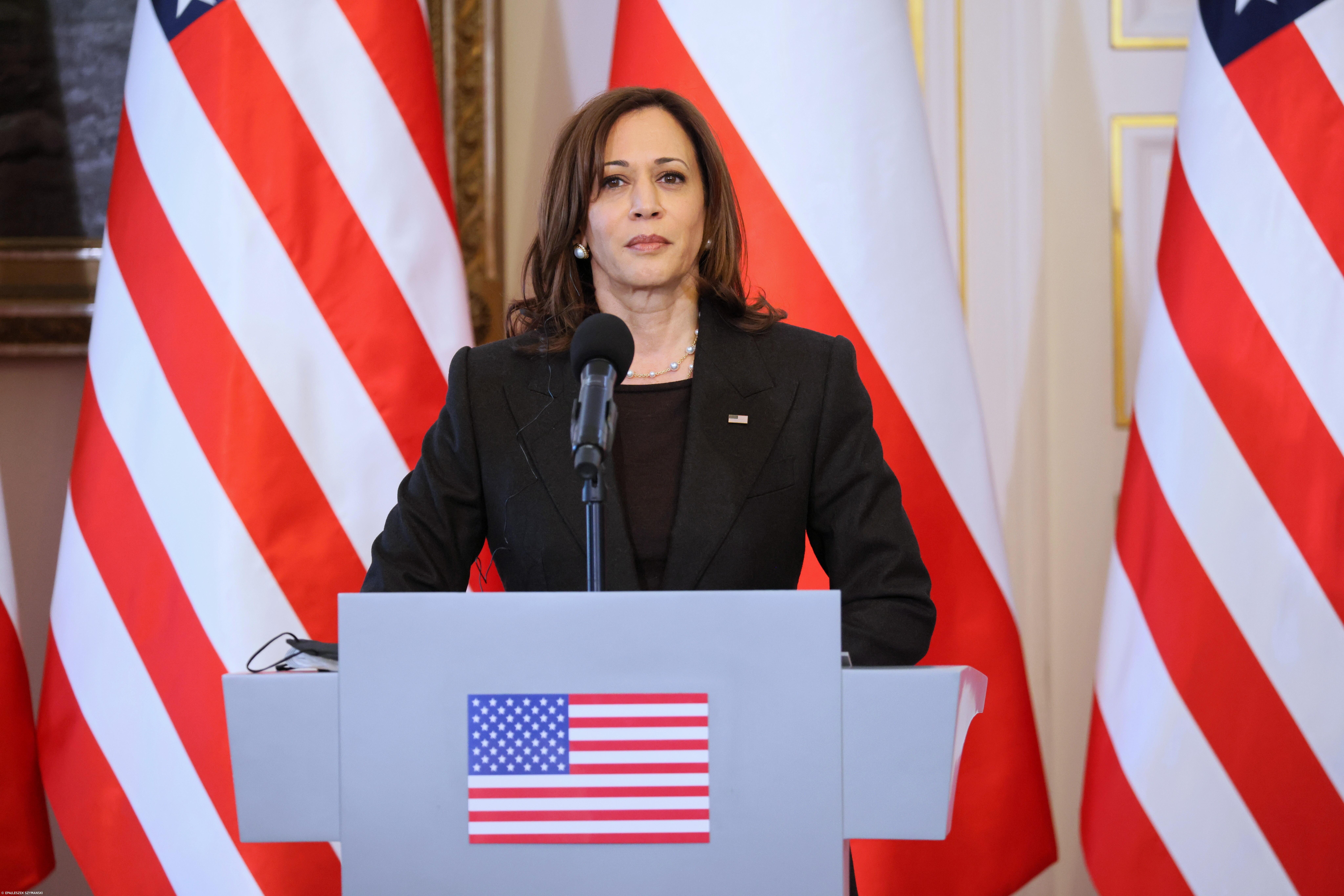 Kamala Harris promete "merecer e ganhar" nomeação democrata contra Trump – Imagem 1