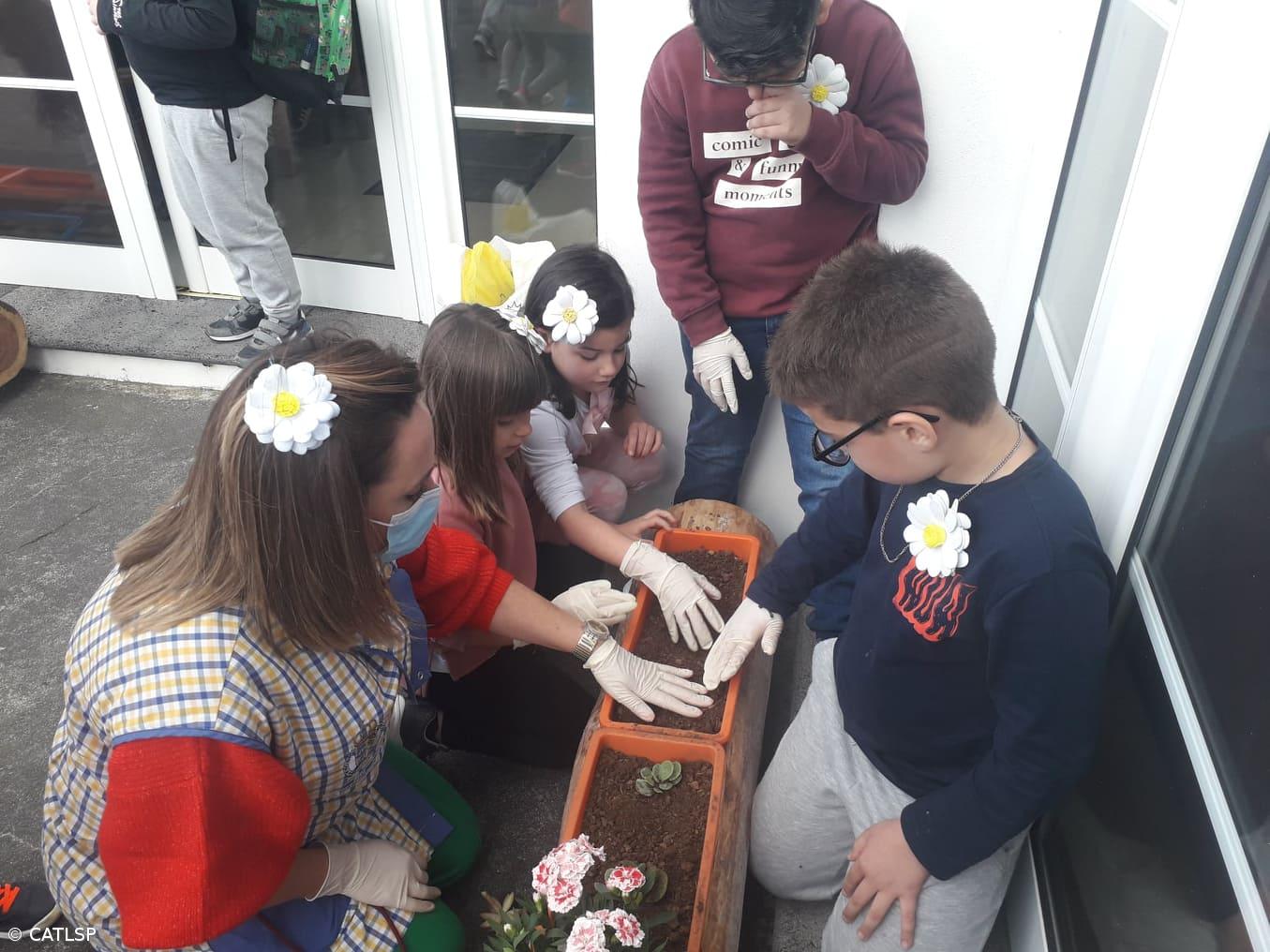 Primavera – Imagem 18