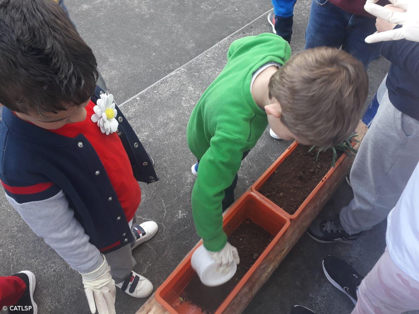 Primavera – Imagem 17