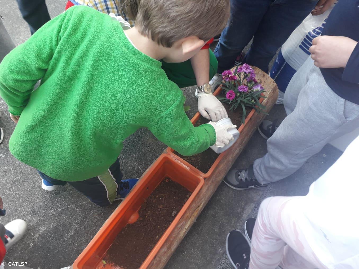 Primavera – Imagem 10