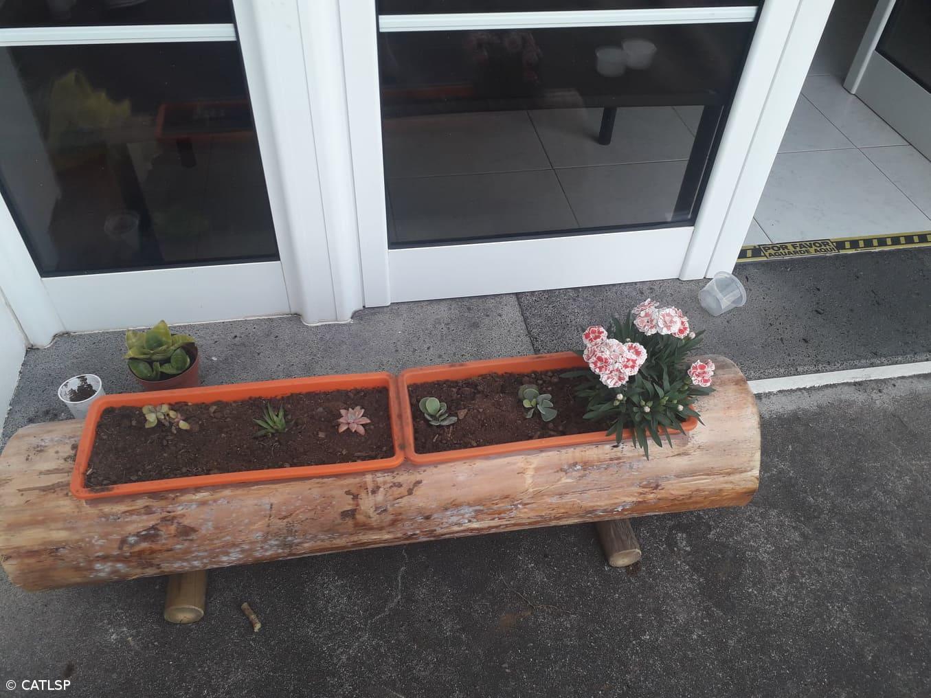 Primavera – Imagem 14