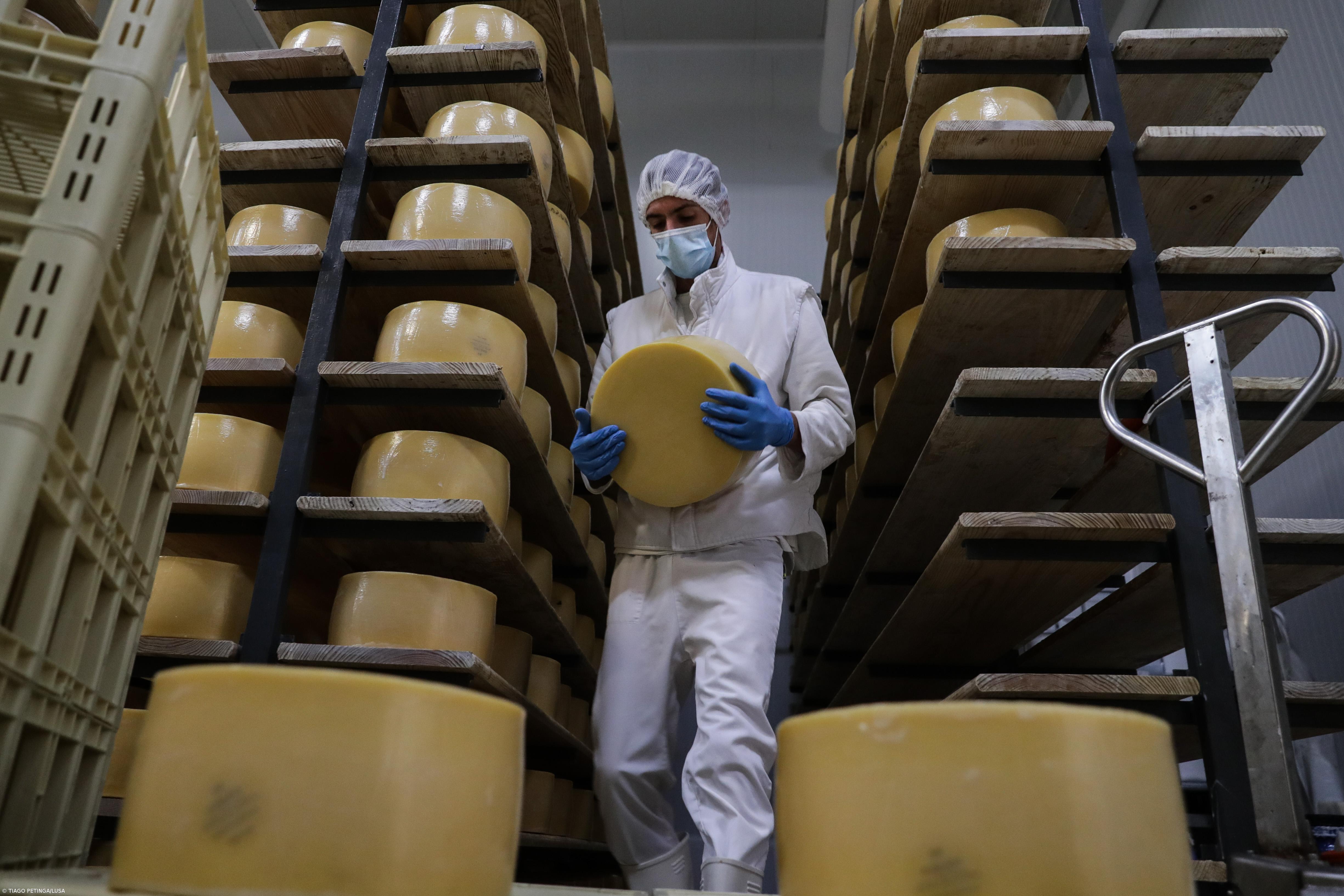 Produtores de queijo de São Jorge reivindicam mais apoios – Imagem 1