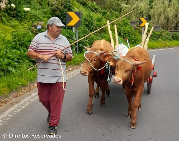 Festa do Milho recria sementeira à moda antiga na Ajuda da Bretanha – Imagem 1