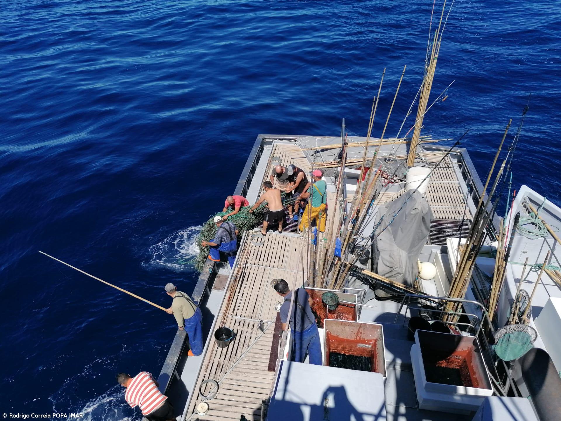 Quota global de pesca de atum patudo mantém-se inalterada em 2023 – Imagem 1