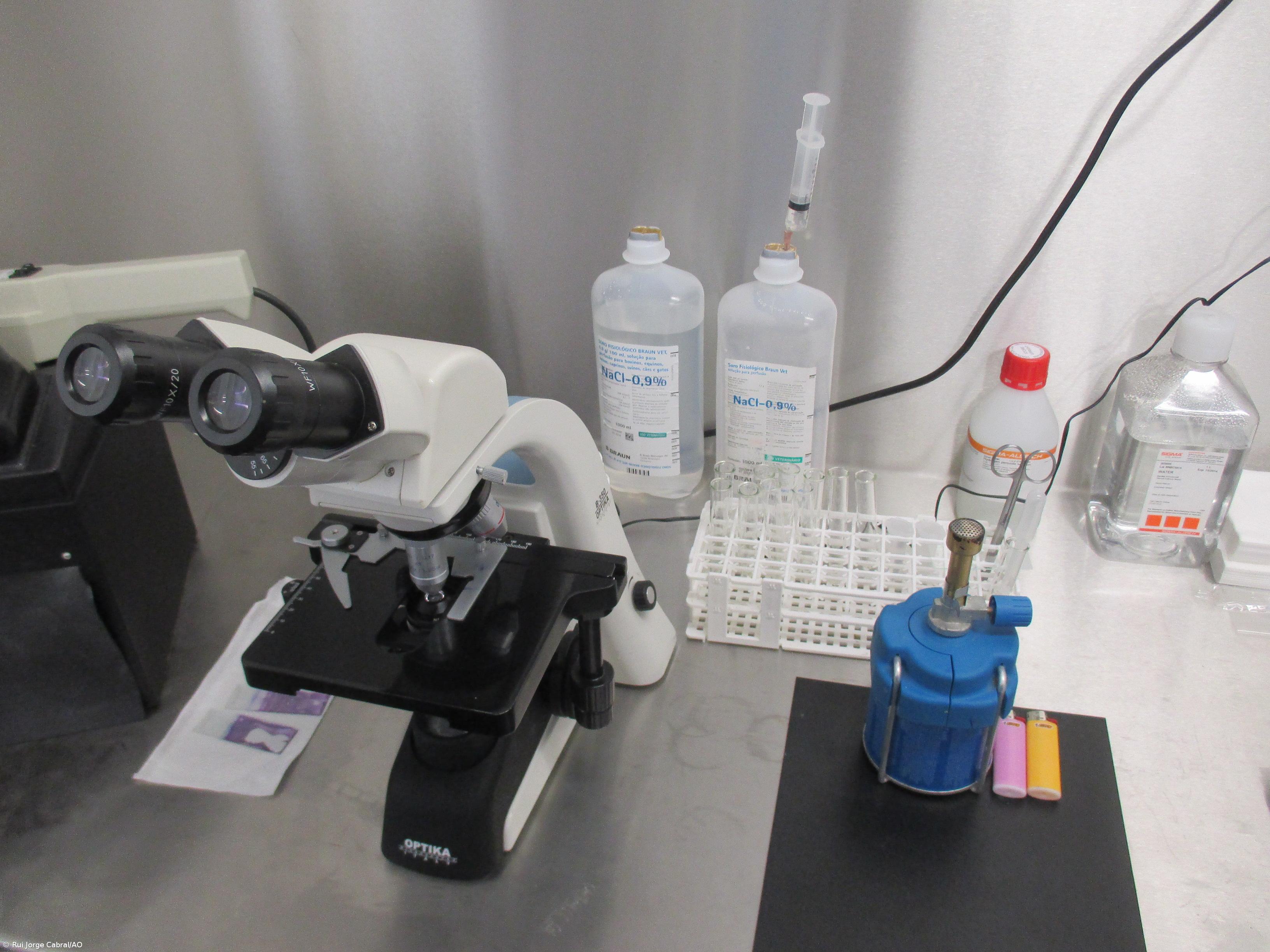 Genética das vacas ganha mais importância com menos produção – Imagem 2