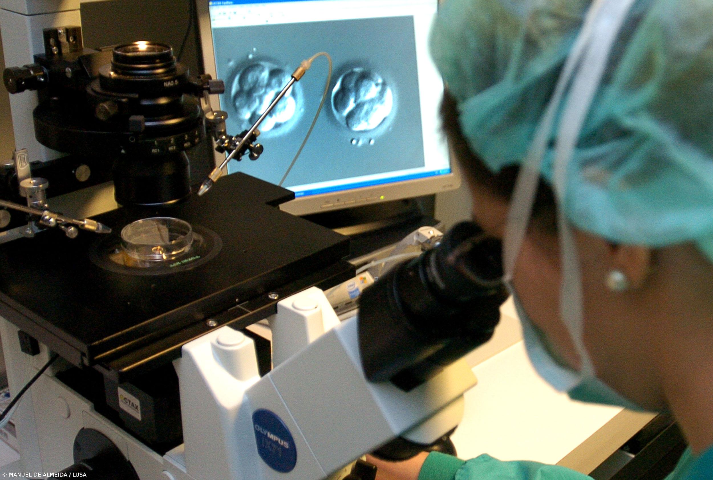 Campanhas para angariar doadores de gâmetas servem desmistificar problema – Imagem 1