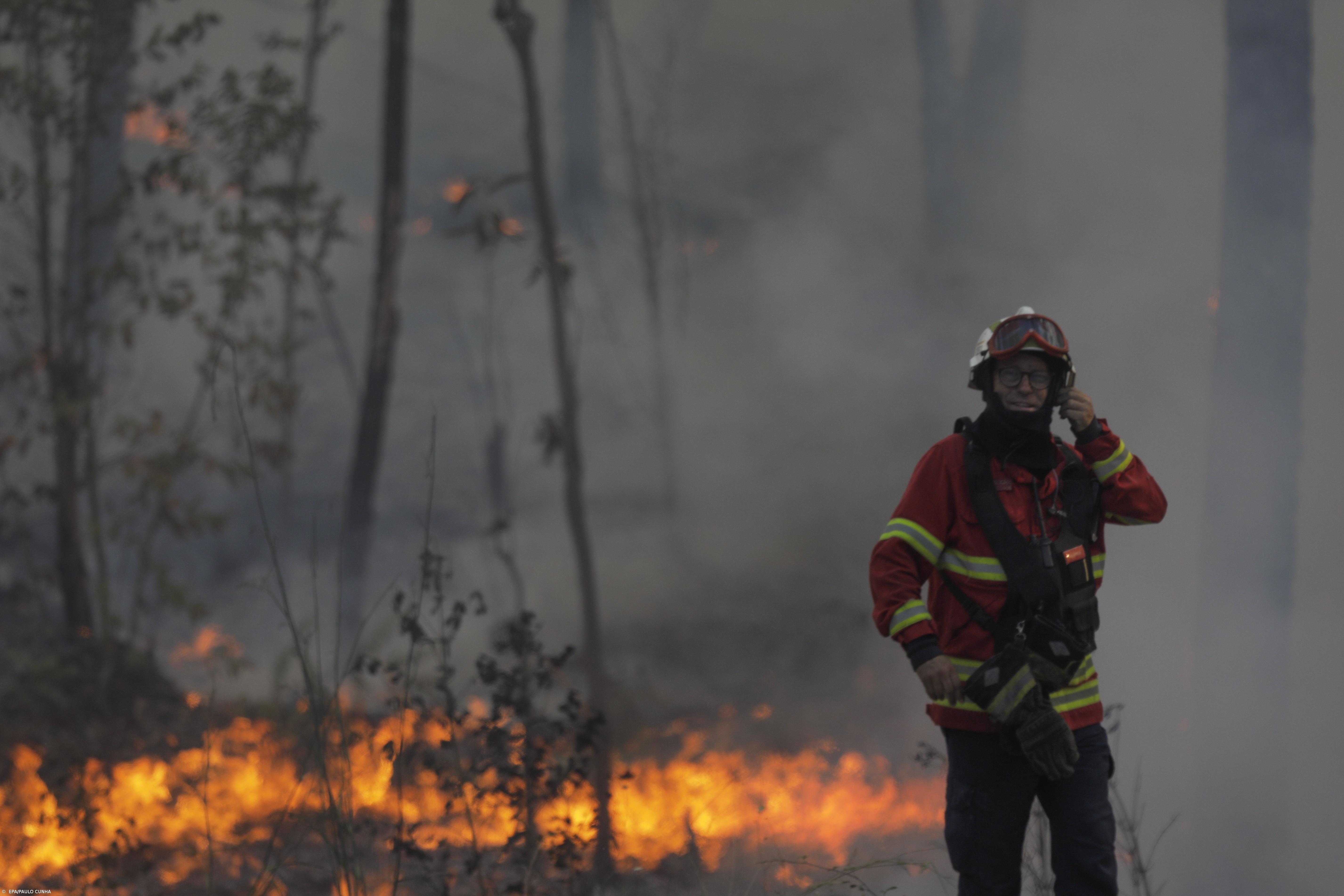 Mais de 620 bombeiros combatem incêndio na Covilhã, EN338 continua cortada – Imagem 1