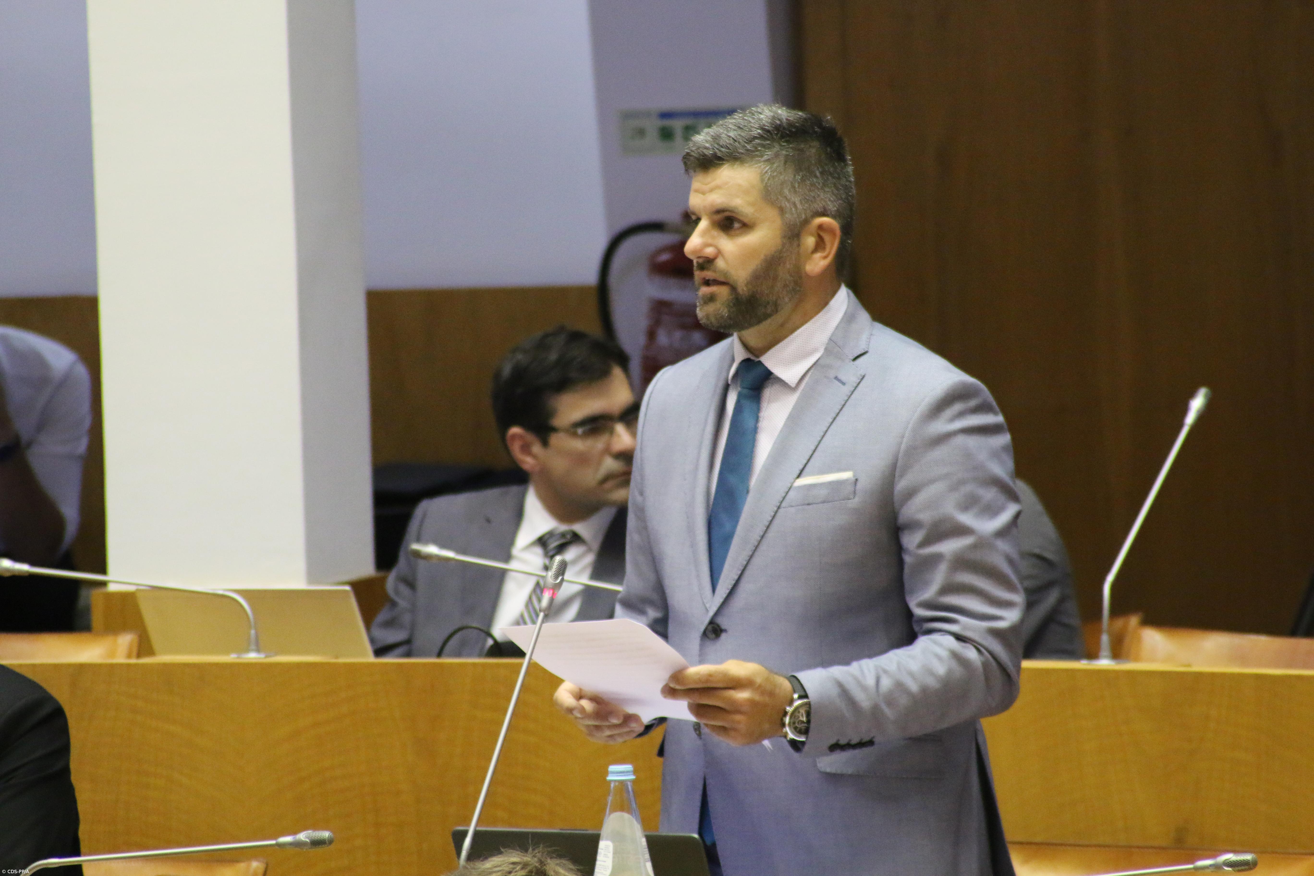 CDS-PP questiona Governo dos Açores sobre porto da Calheta em São Jorge – Imagem 1