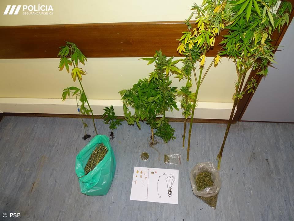 Homem detido em flagrante delito pelo crime de tráfico de estupefacientes  – Imagem 1