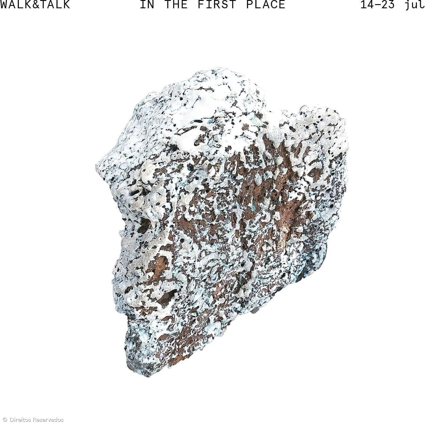 Escultura de Maria Ana Vasco Costa na Fonseca Macedo  – Imagem 2