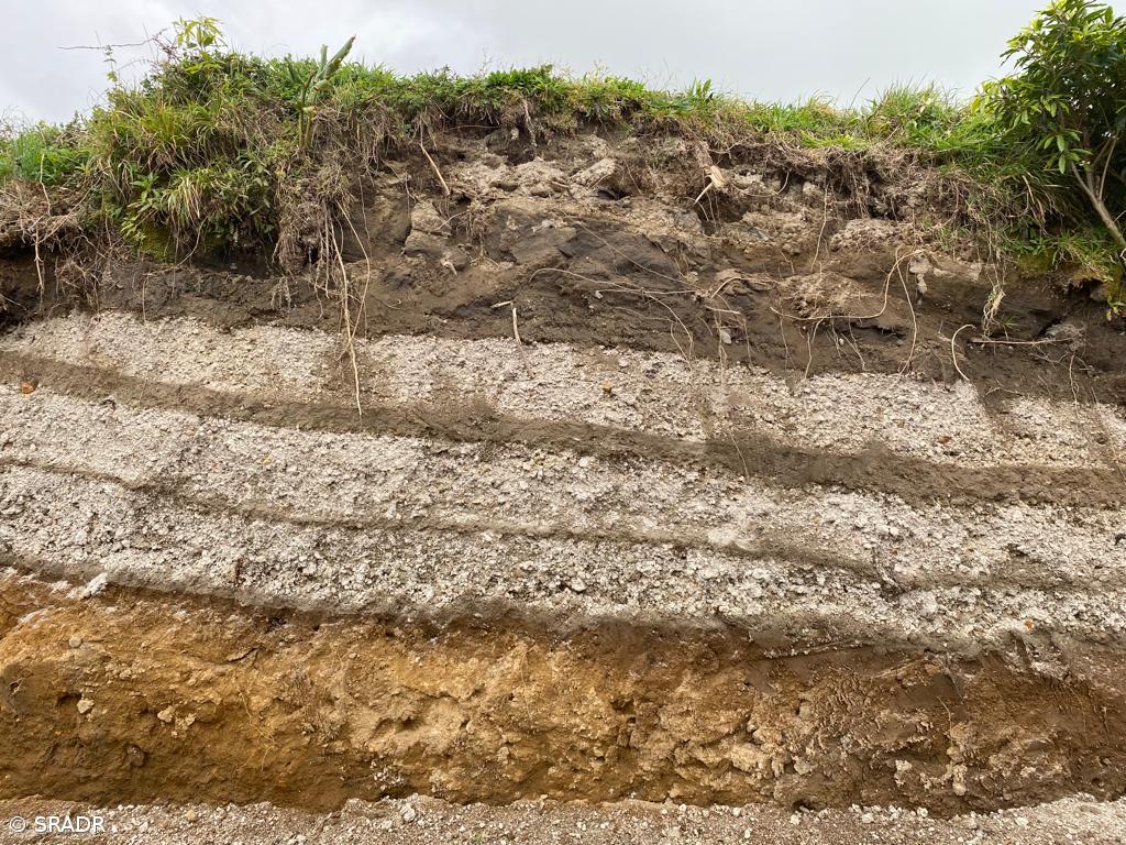 Agricultores têm nova ferramenta para melhorar utilização dos solos – Imagem 1
