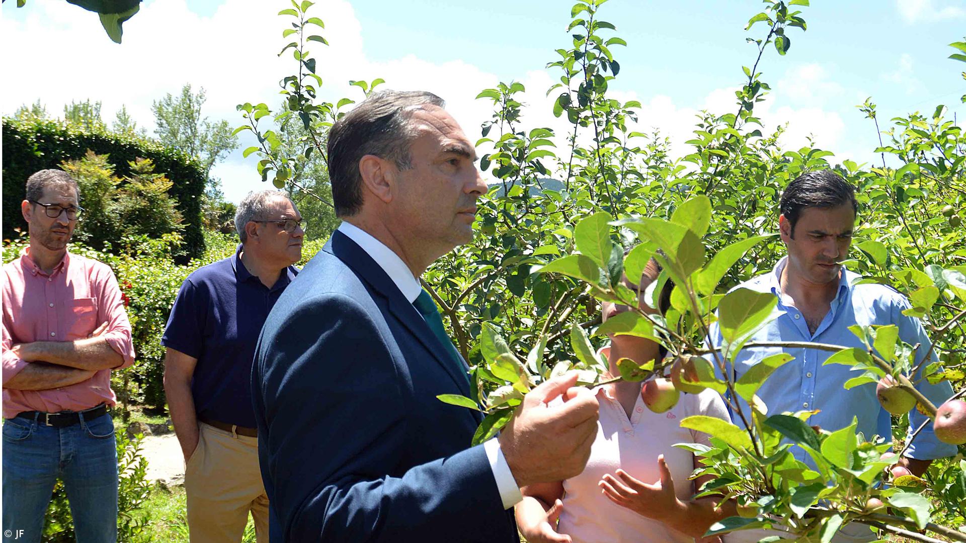 Açores querem aumentar área de produção frutícola – Imagem 1