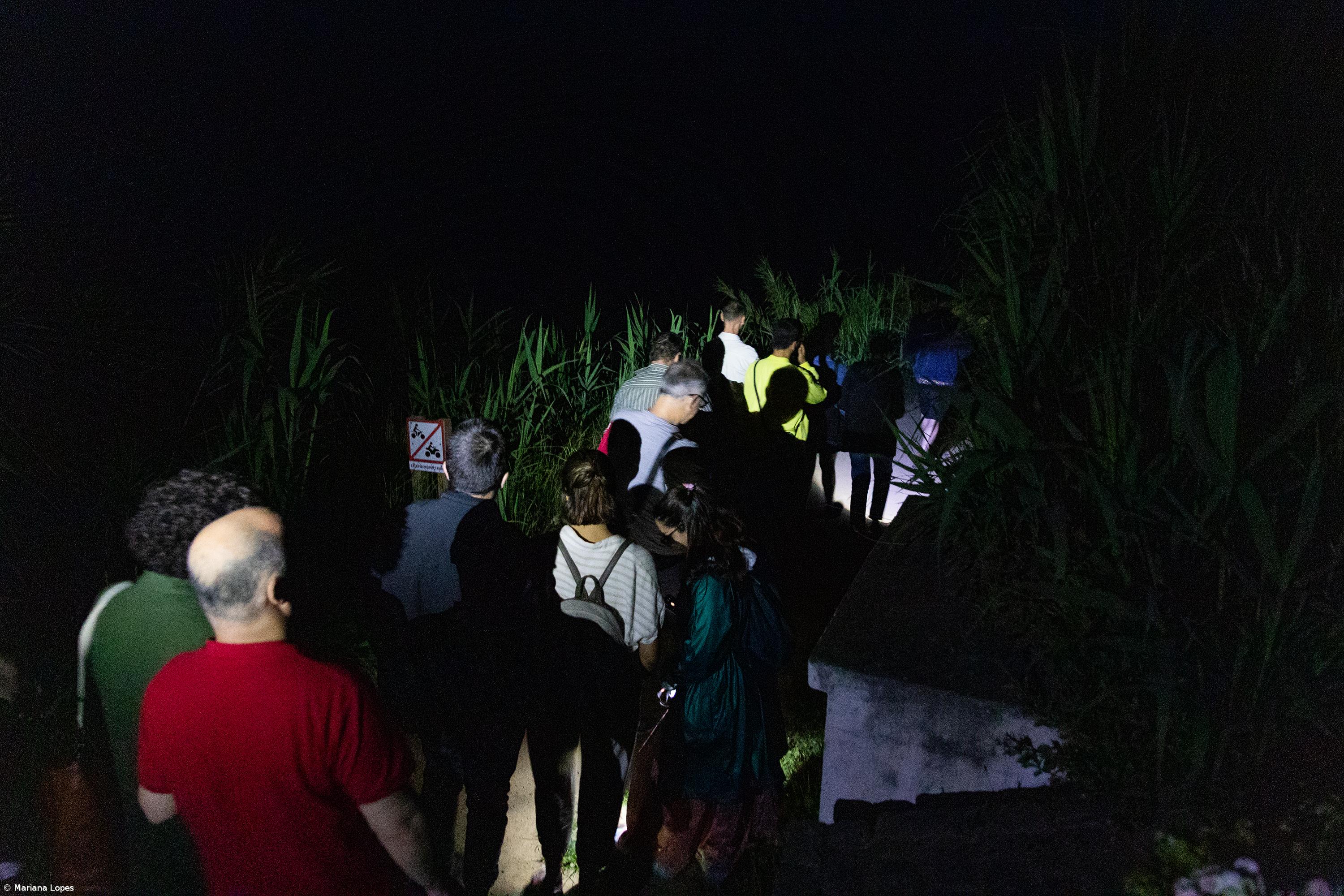 Artista leva narrativa experimental sobre os cagarros ao mundo – Imagem 1