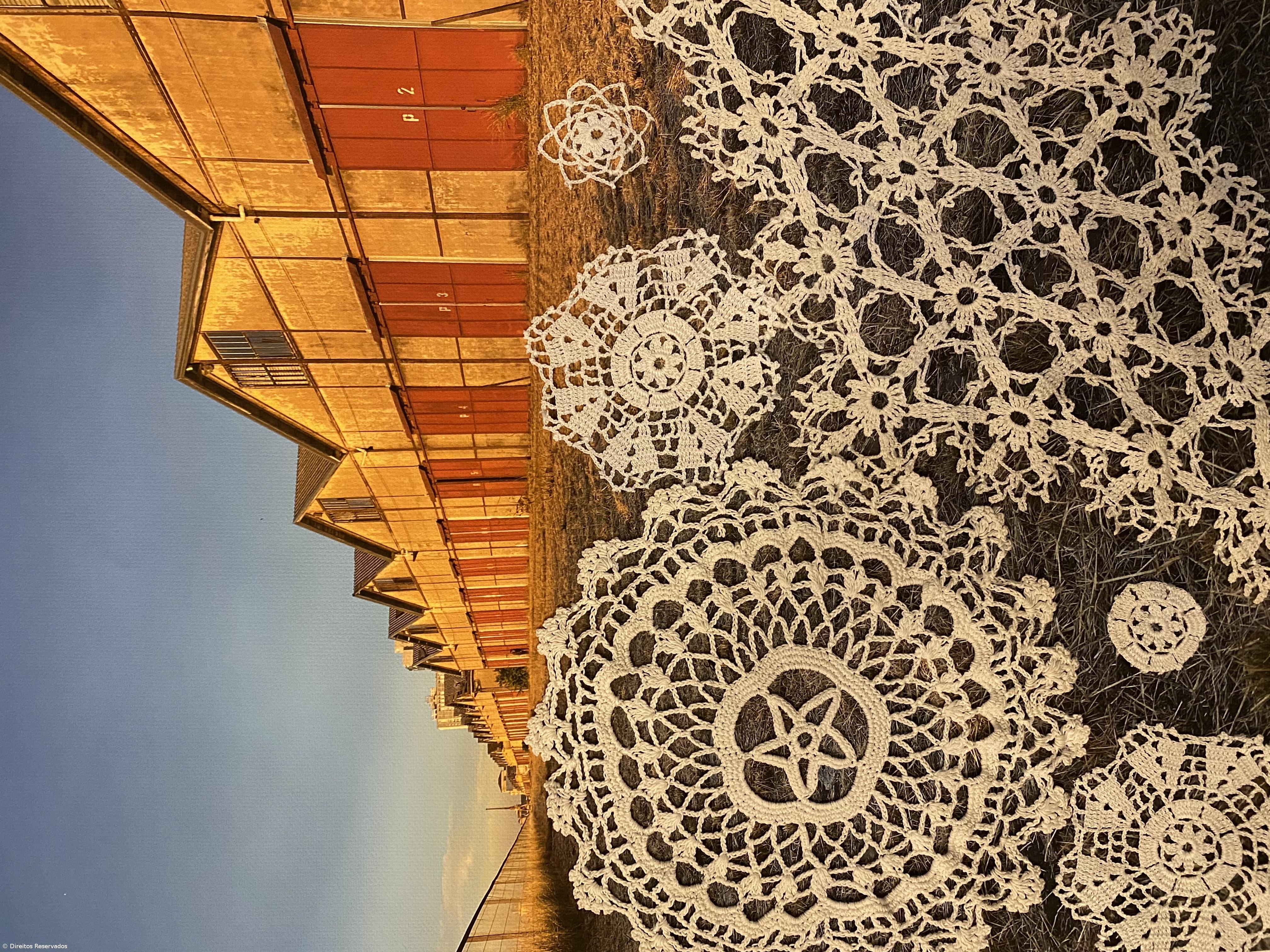 Fotógrafa mostra herança açoriana no Brasil – Imagem 4