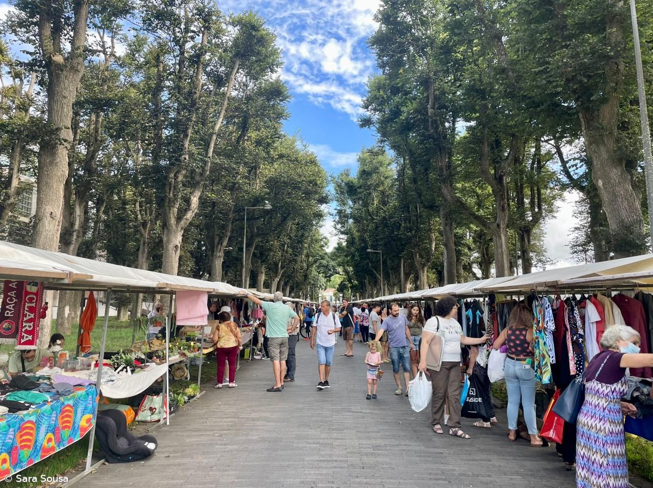 Feira das Traquitanas: 15 anos a promover o convívio  – Imagem 6