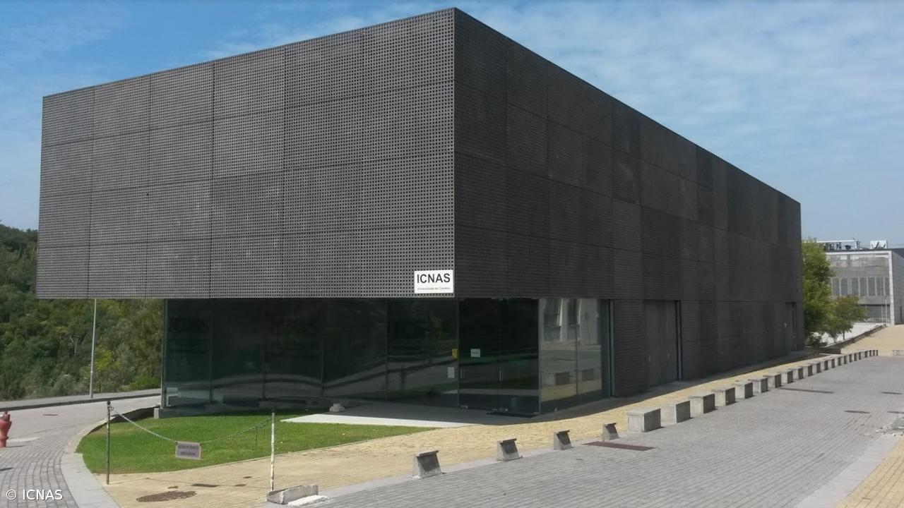 Universidade de Coimbra procura voluntários para estudo sobre envelhecimento – Imagem 1